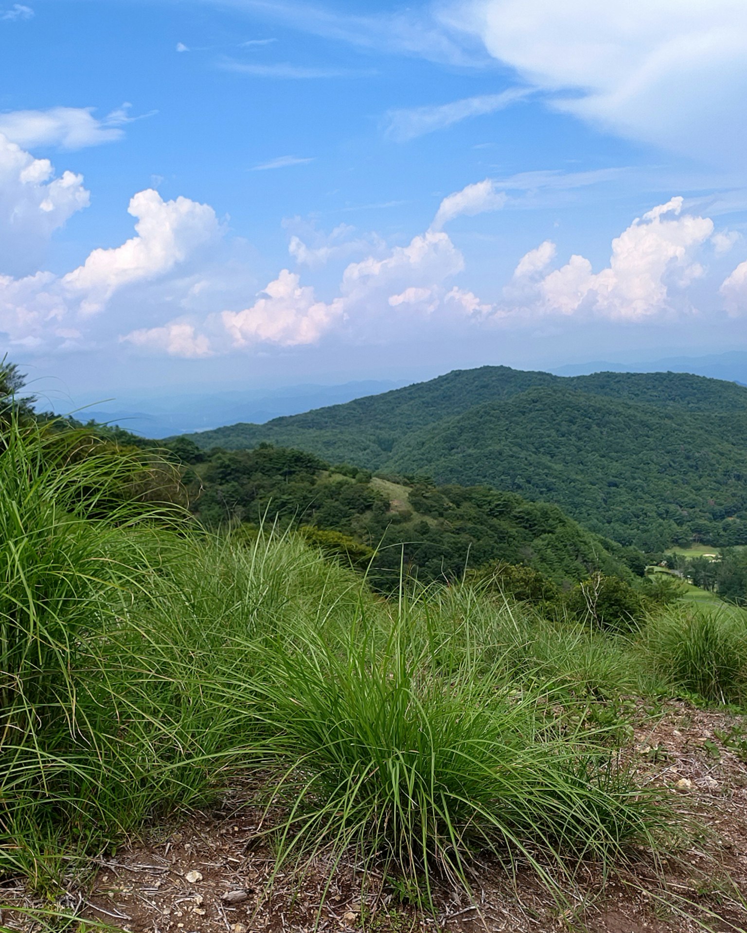 Paesaggio montano con cielo blu e nuvole erba verde in primo piano