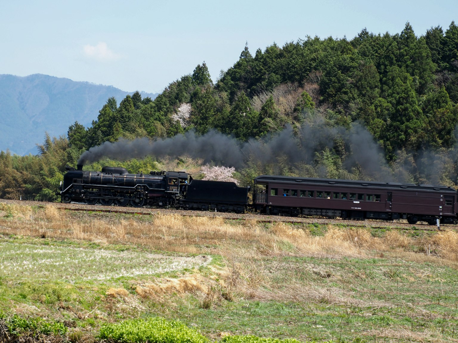 Locomotora de vapor y vagón de pasajeros cruzando campos verdes