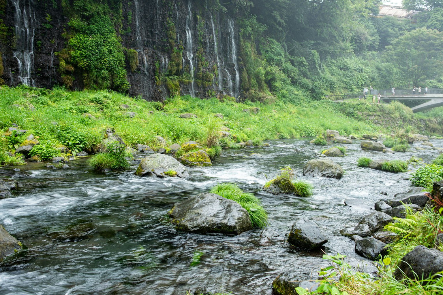 Scena di fiume lussureggiante con cascate e un ponte in lontananza