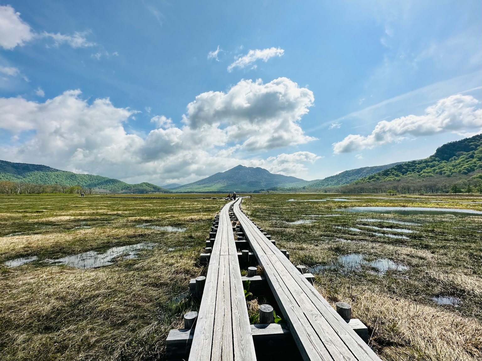 Wooden walkway extending through wetland with blue sky and mountains in the background