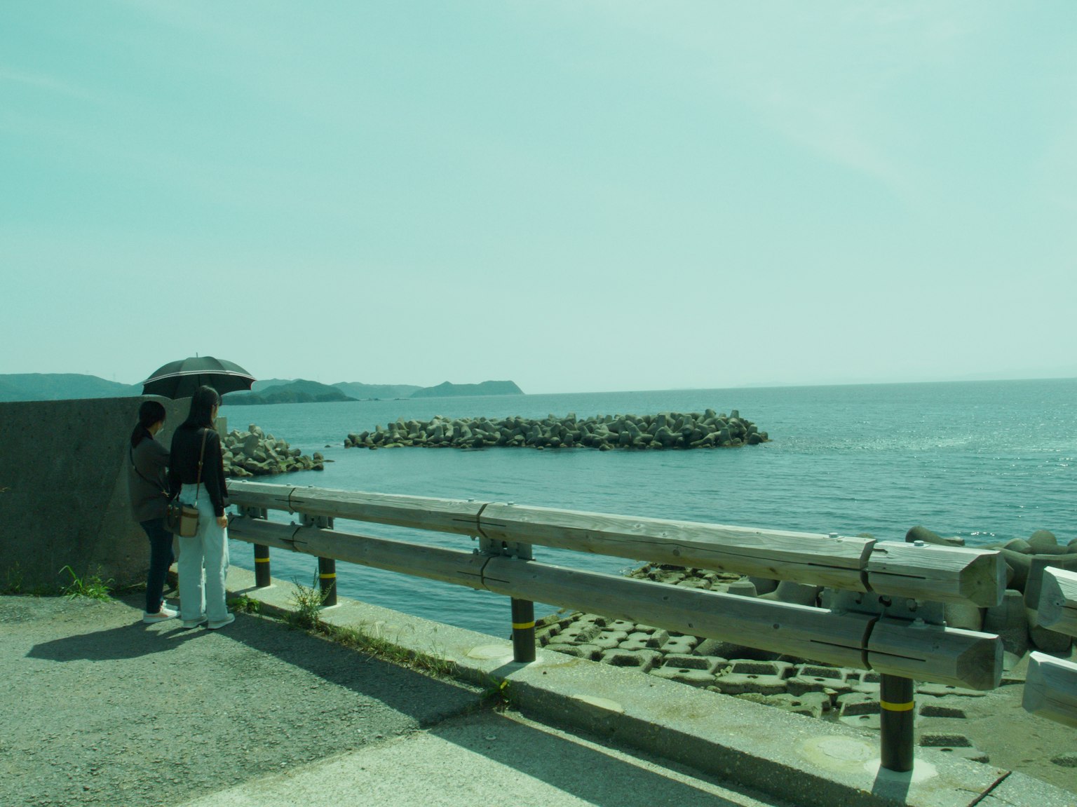 两位女性在栏杆旁看海