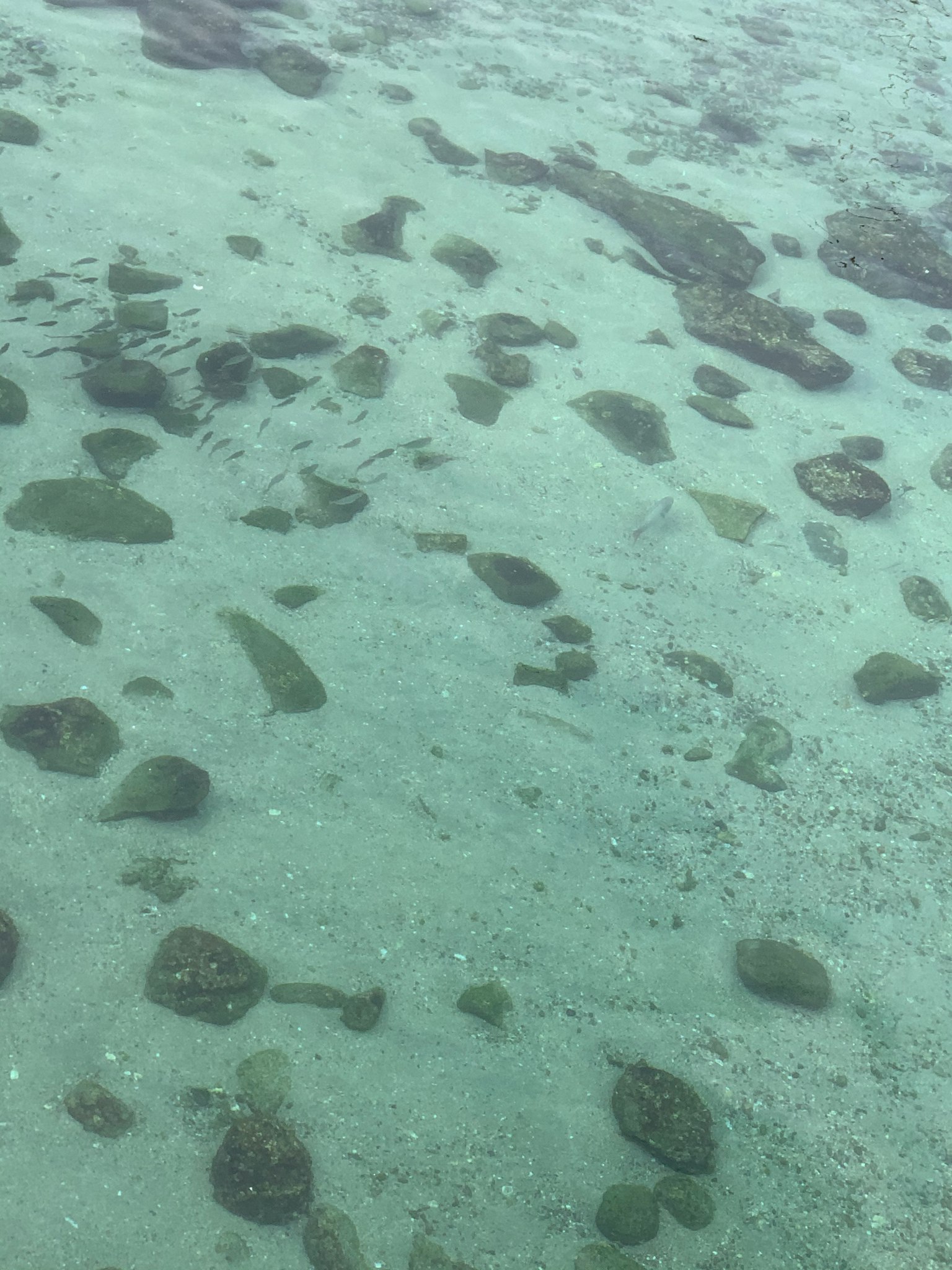 Klares Wasser, das einen sandigen Meeresboden mit verschiedenen Felsformen zeigt