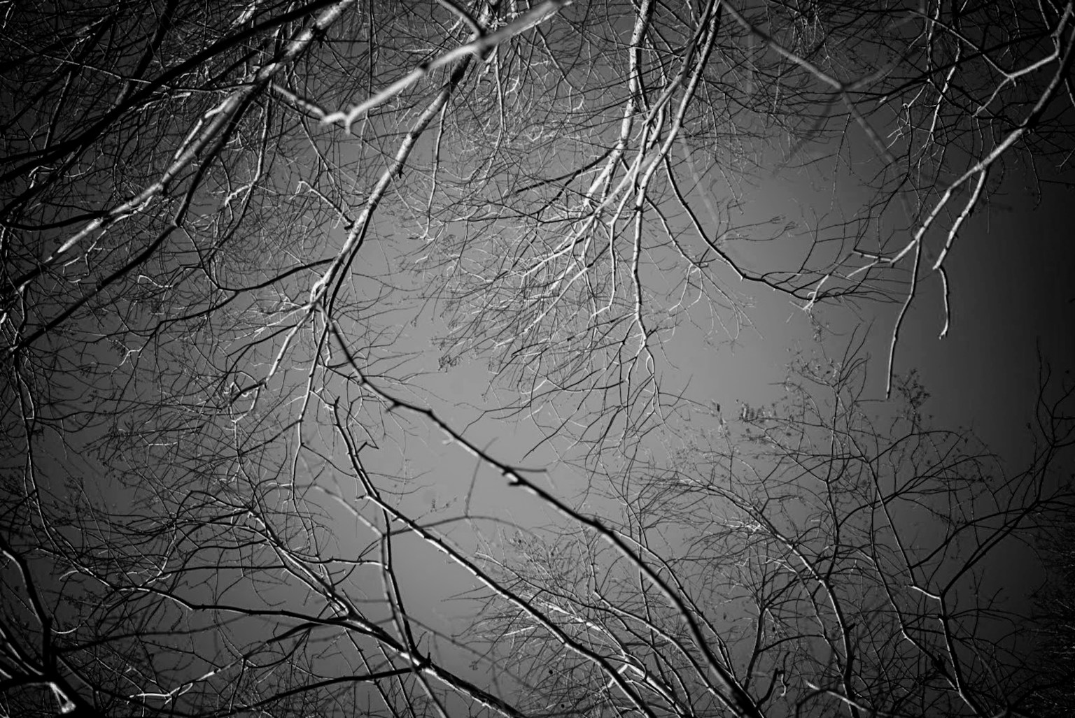 photo-9gZaAzxr38FZ8u44puG8-image