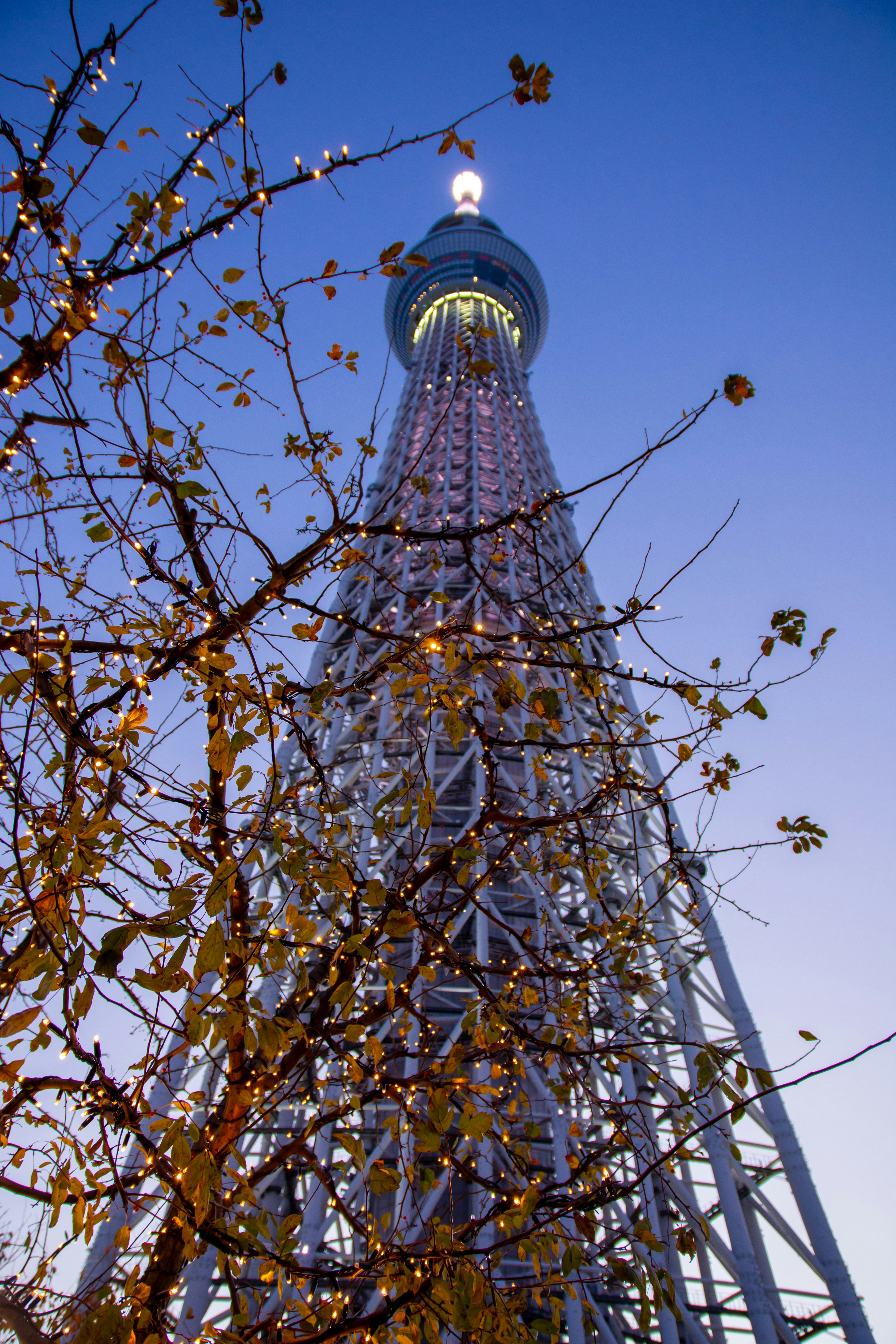 Illuminated tower exterior wrapped with lights against a blue sky