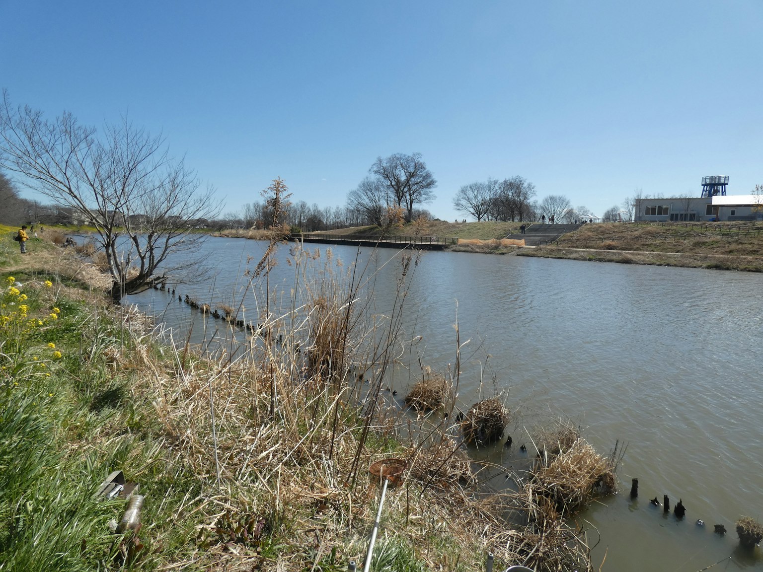 Ruhige Flusslandschaft mit trockenen Gräsern am Ufer
