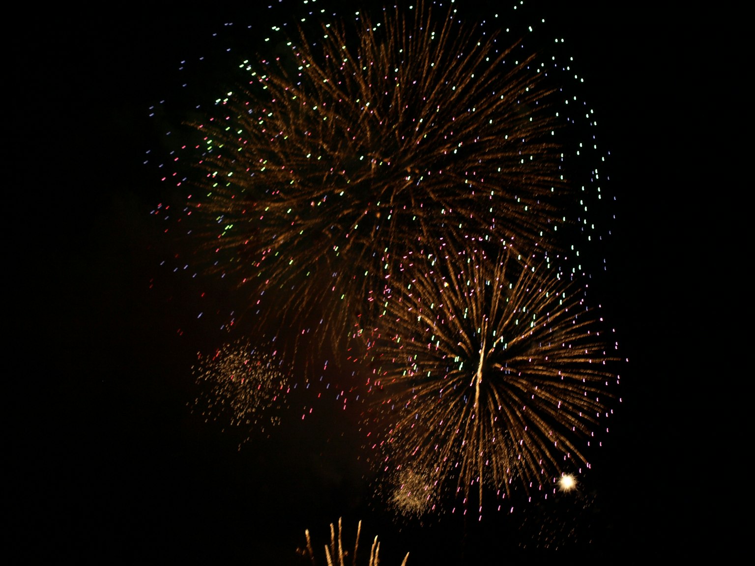 Colorful fireworks bursting in the night sky