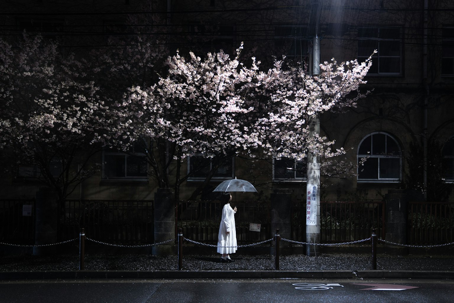 A woman in white standing under a cherry blossom tree at night with an umbrella