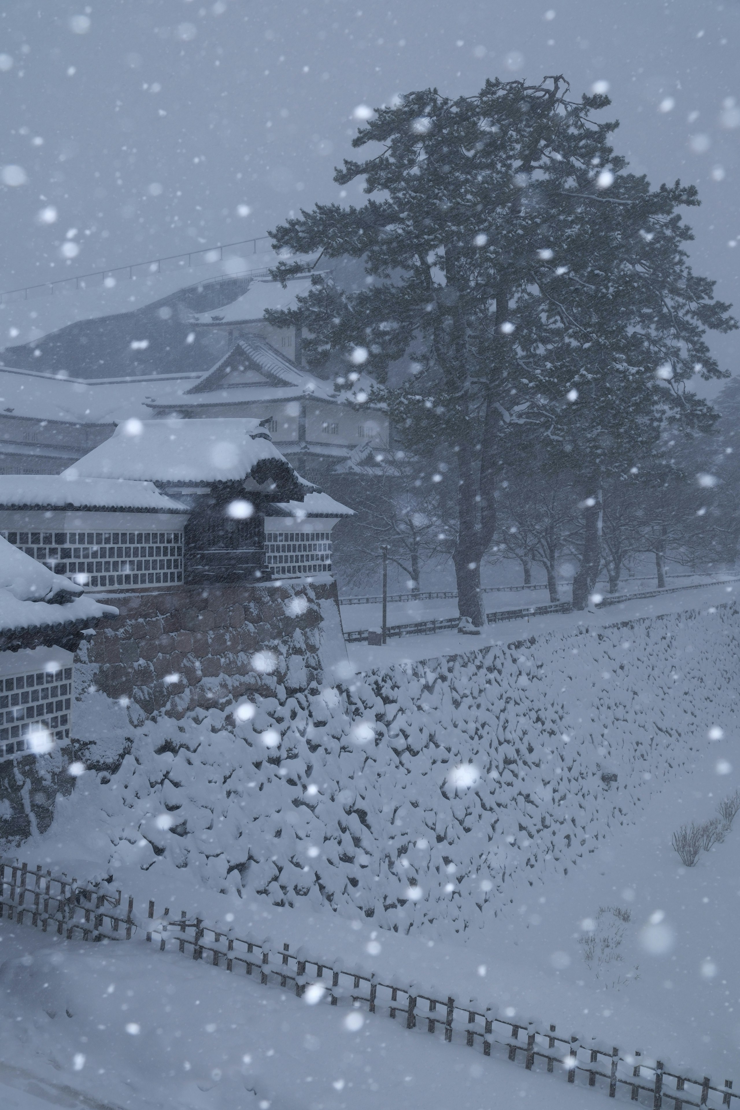 雪の金沢城公園で降り積もる石垣と門のある景色