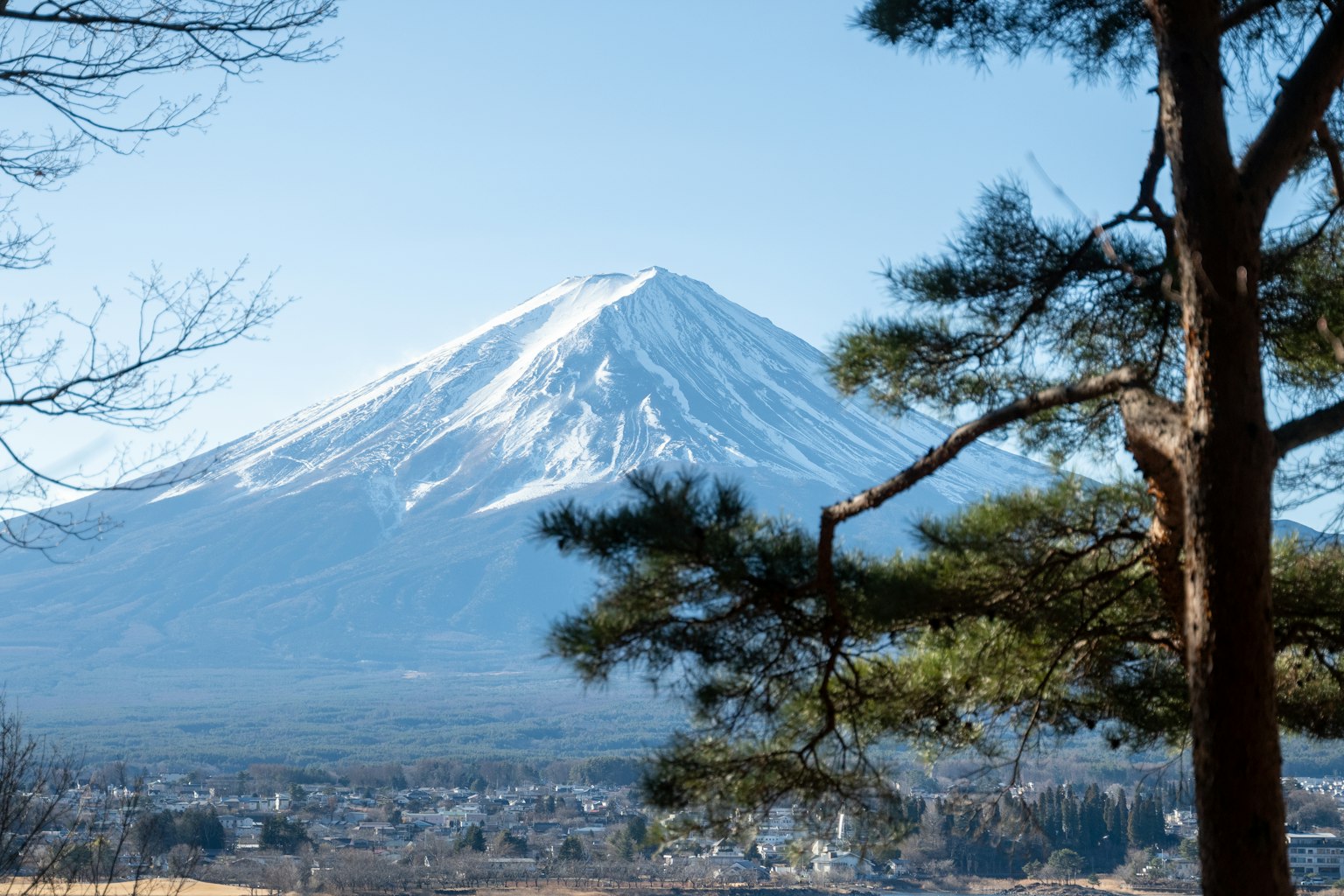 雪覆盖的富士山和周围树木的美景