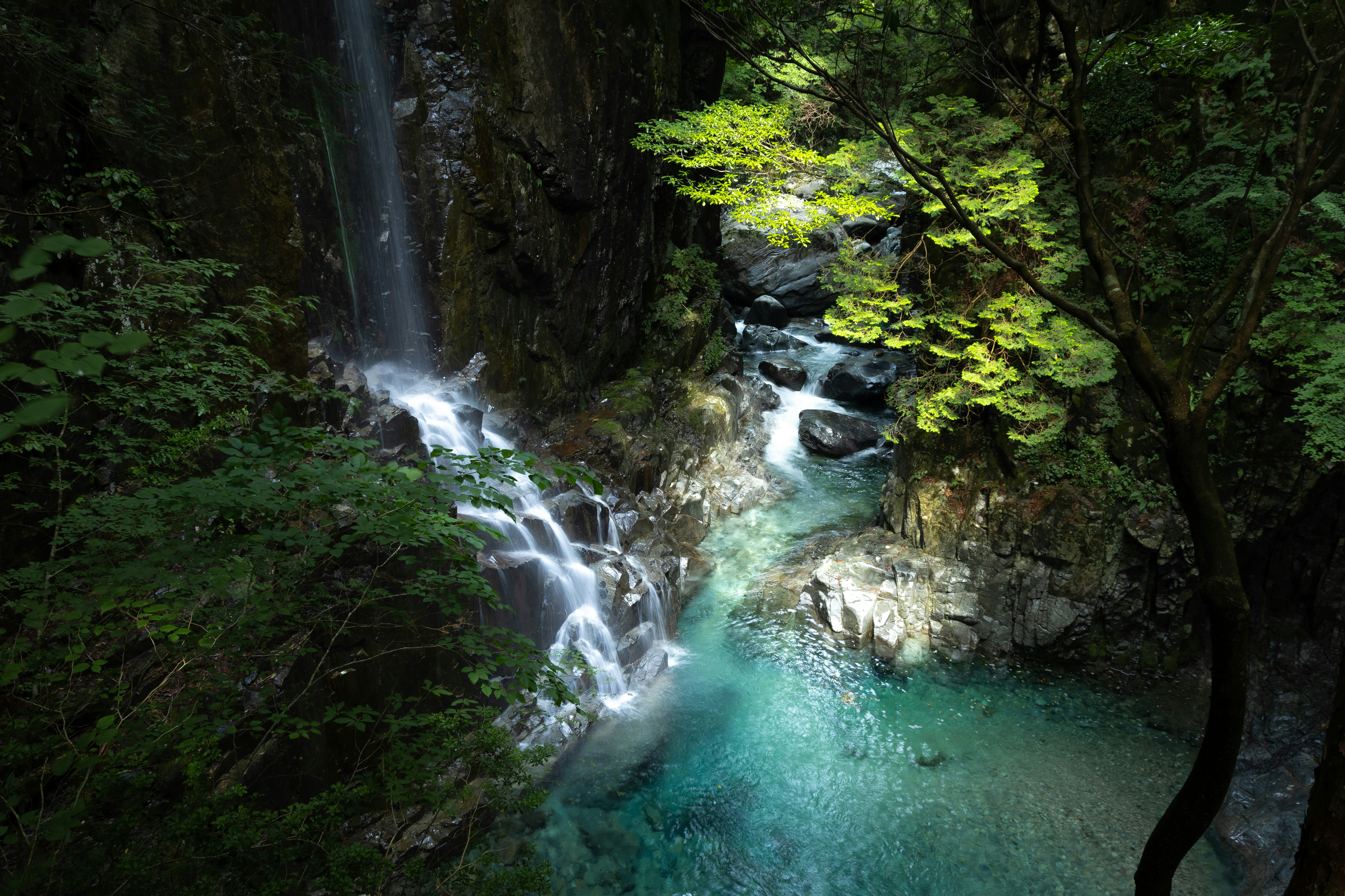 緑の森に囲まれた滝と澄んだ川の流れ