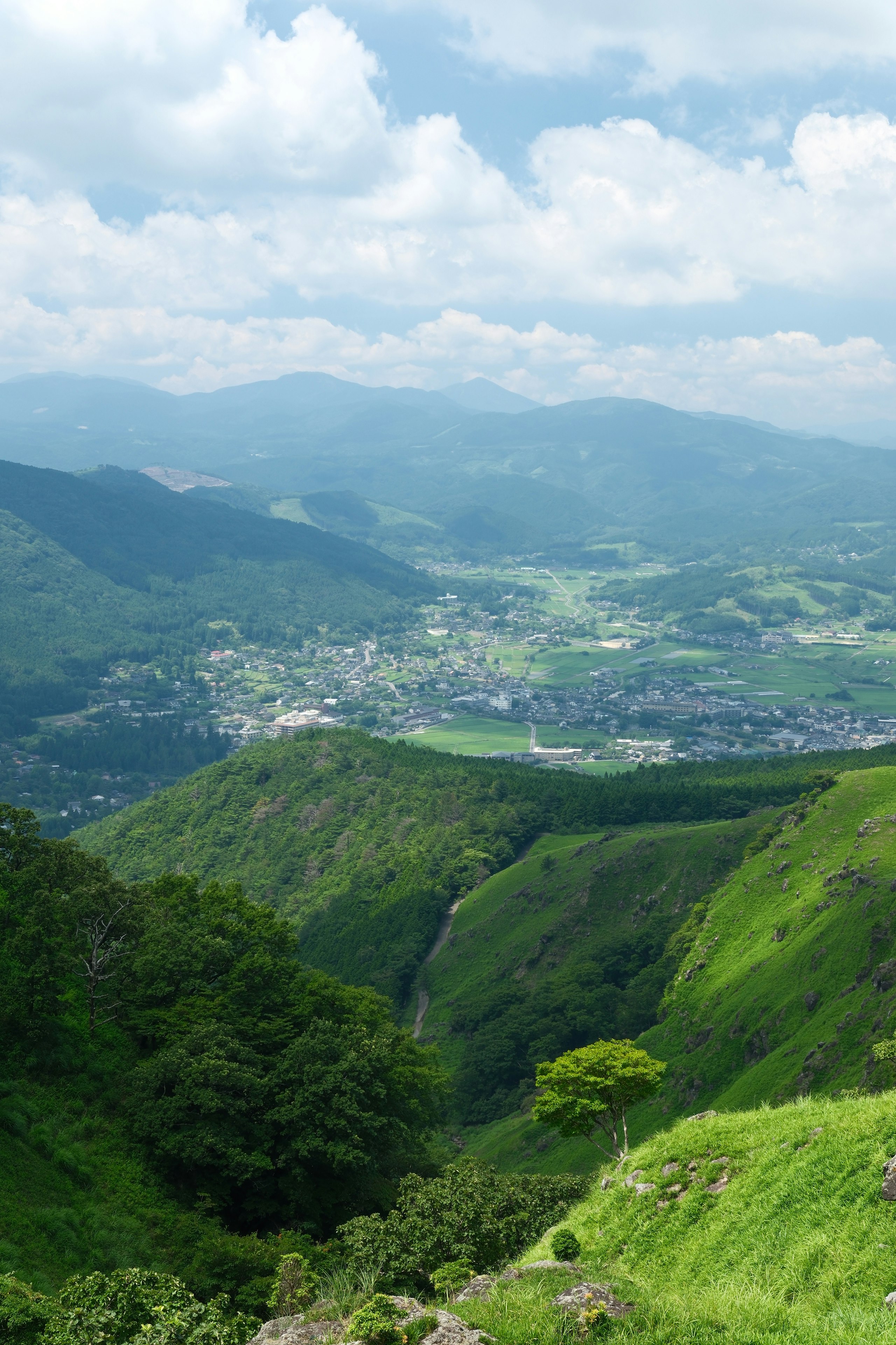 由布岳を望む緑の山並みと別府市の街並み