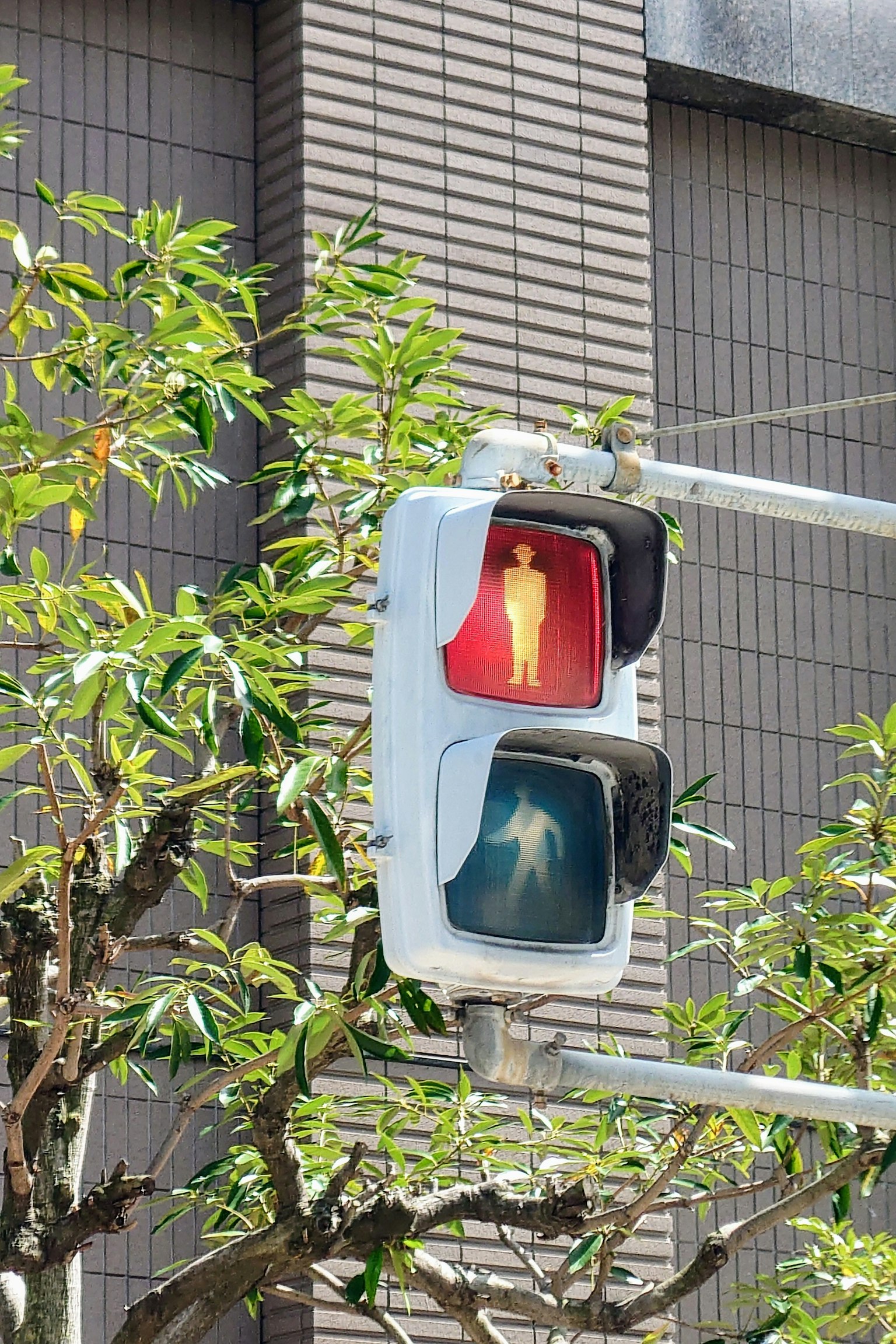Lampu lalu lintas menampilkan sinyal merah dan hijau dengan pohon di latar depan