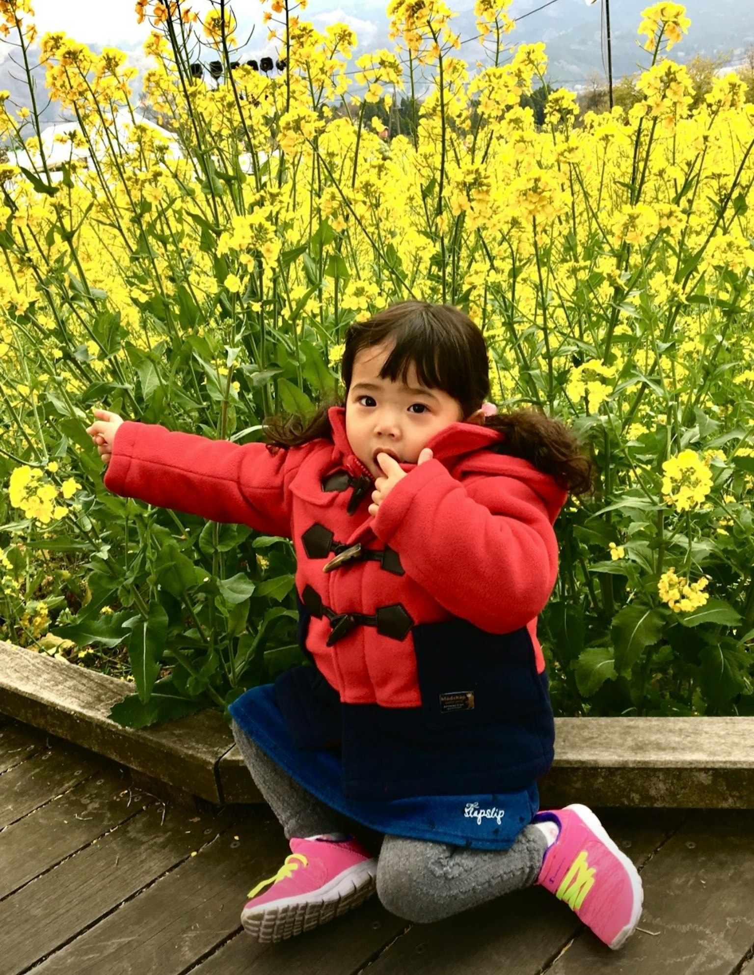 Bambina in un cappotto rosso seduta davanti a fiori gialli