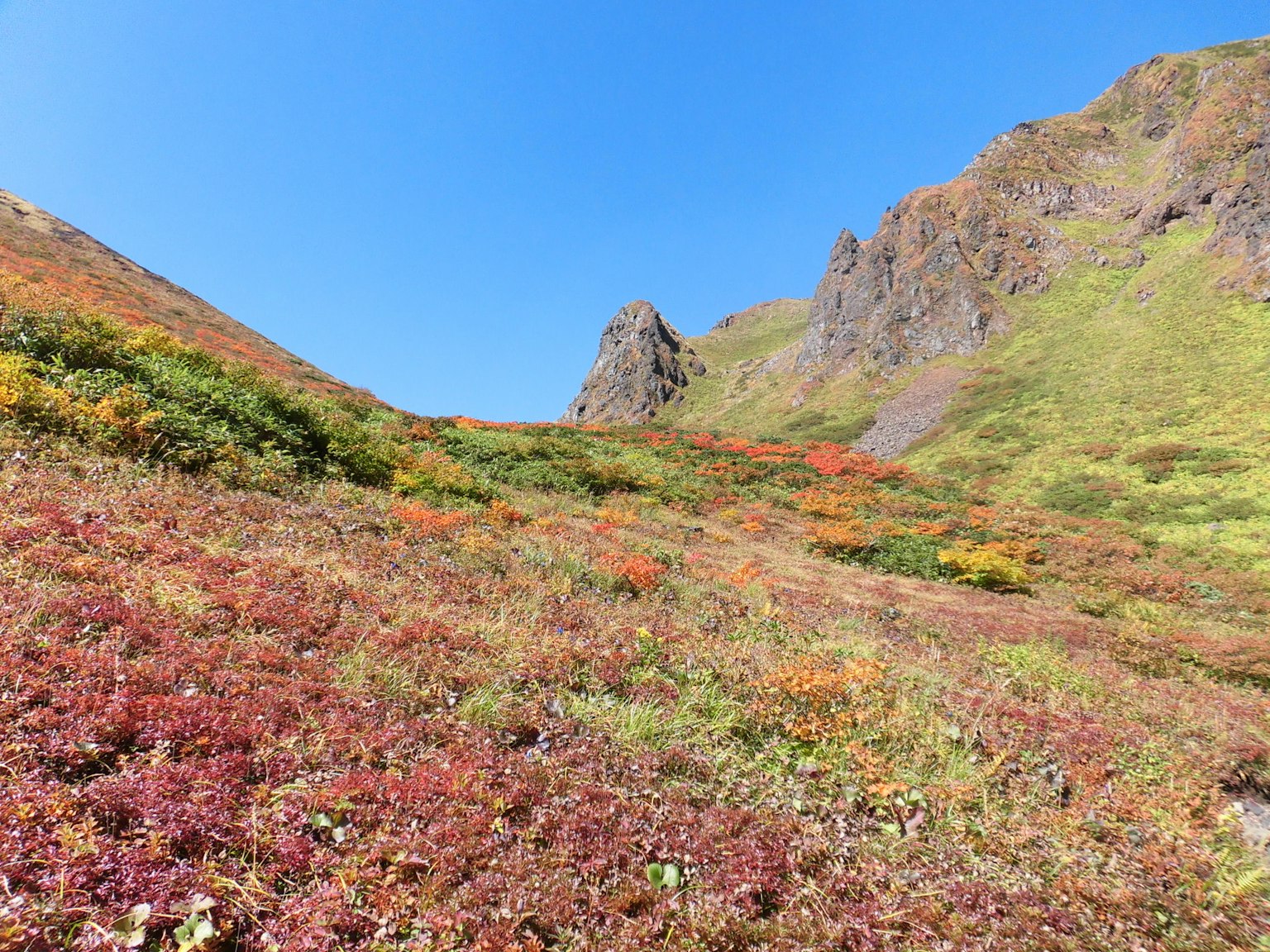Cảnh sắc mùa thu tuyệt đẹp với tán lá nhiều màu sắc bao phủ sườn đồi