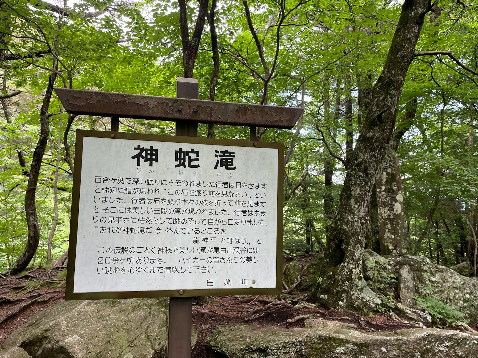 Scena forestale con un cartello per la cascata Shinbakedaki