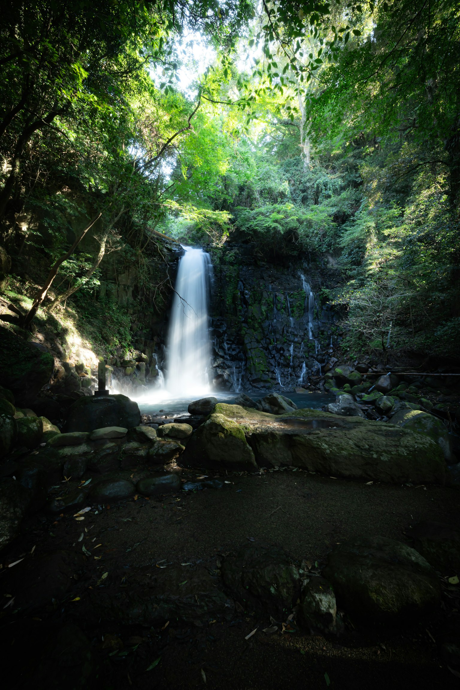 Schöner Wasserfall umgeben von üppigem Grün