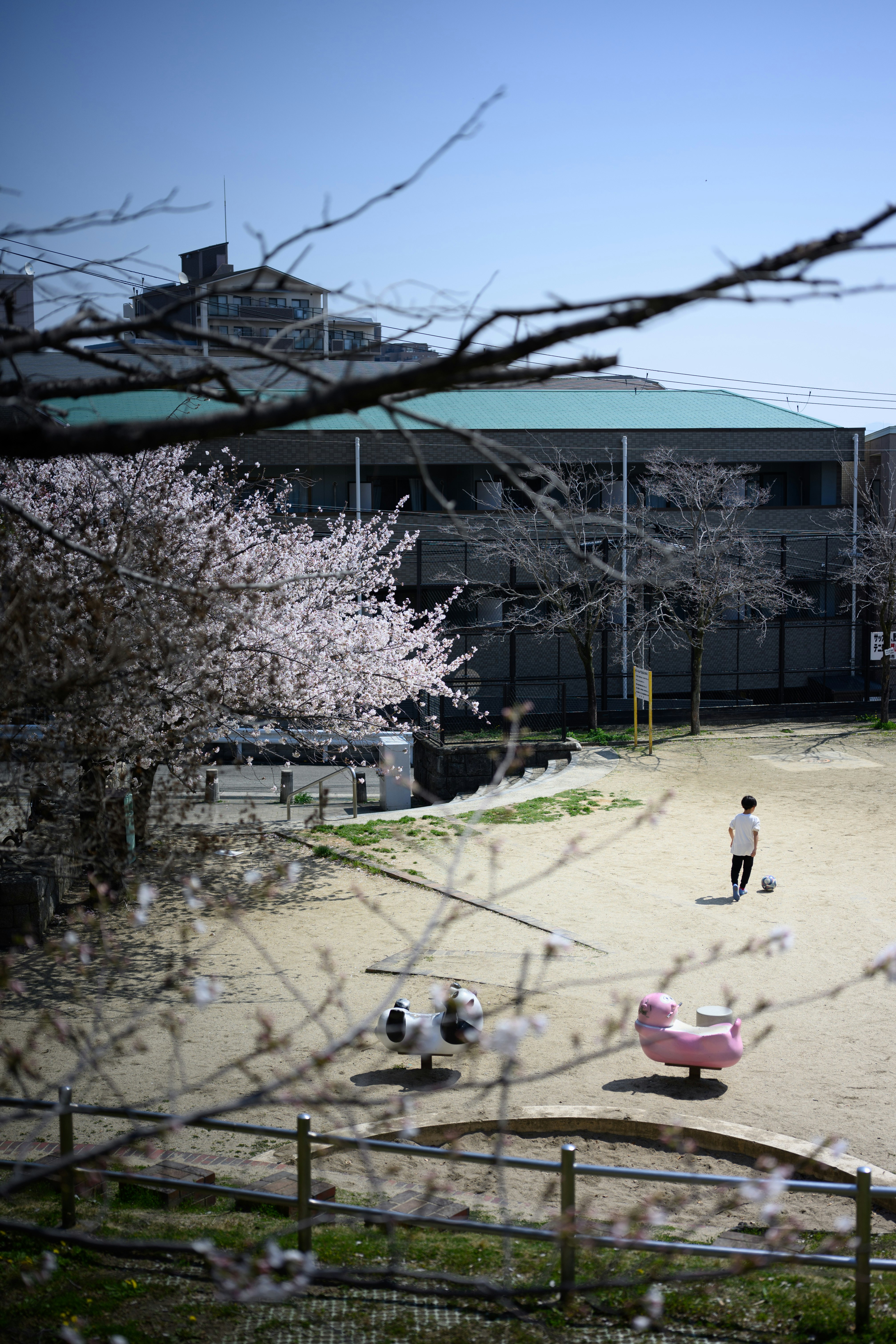 桜の木と小道のある屋外庭園で遊ぶ子どもたちの風景