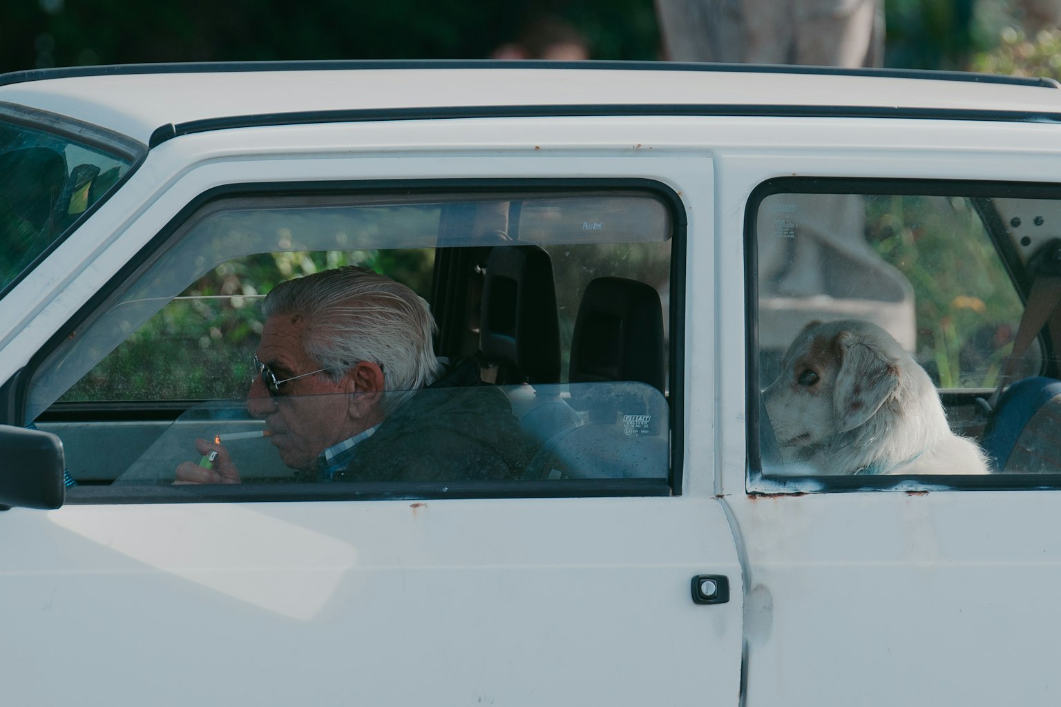 白い車の中に座っている男性と犬の写真 男性はサングラスをかけている