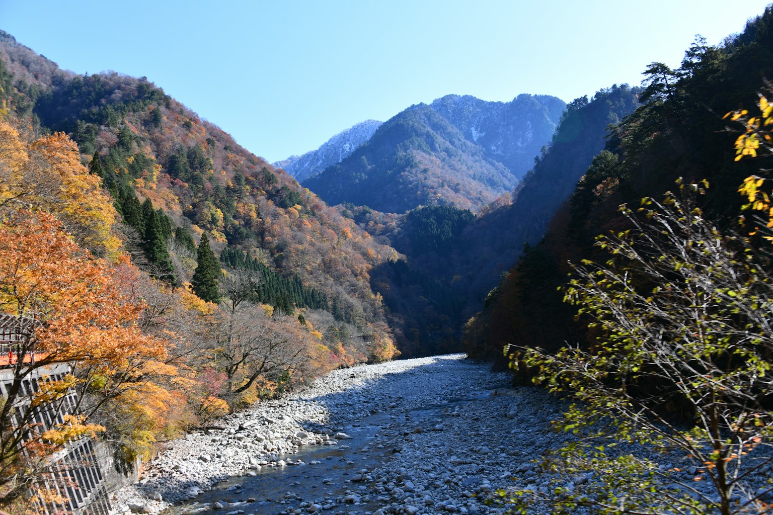 photo-9kwndZx633CykE2f5cJS-image