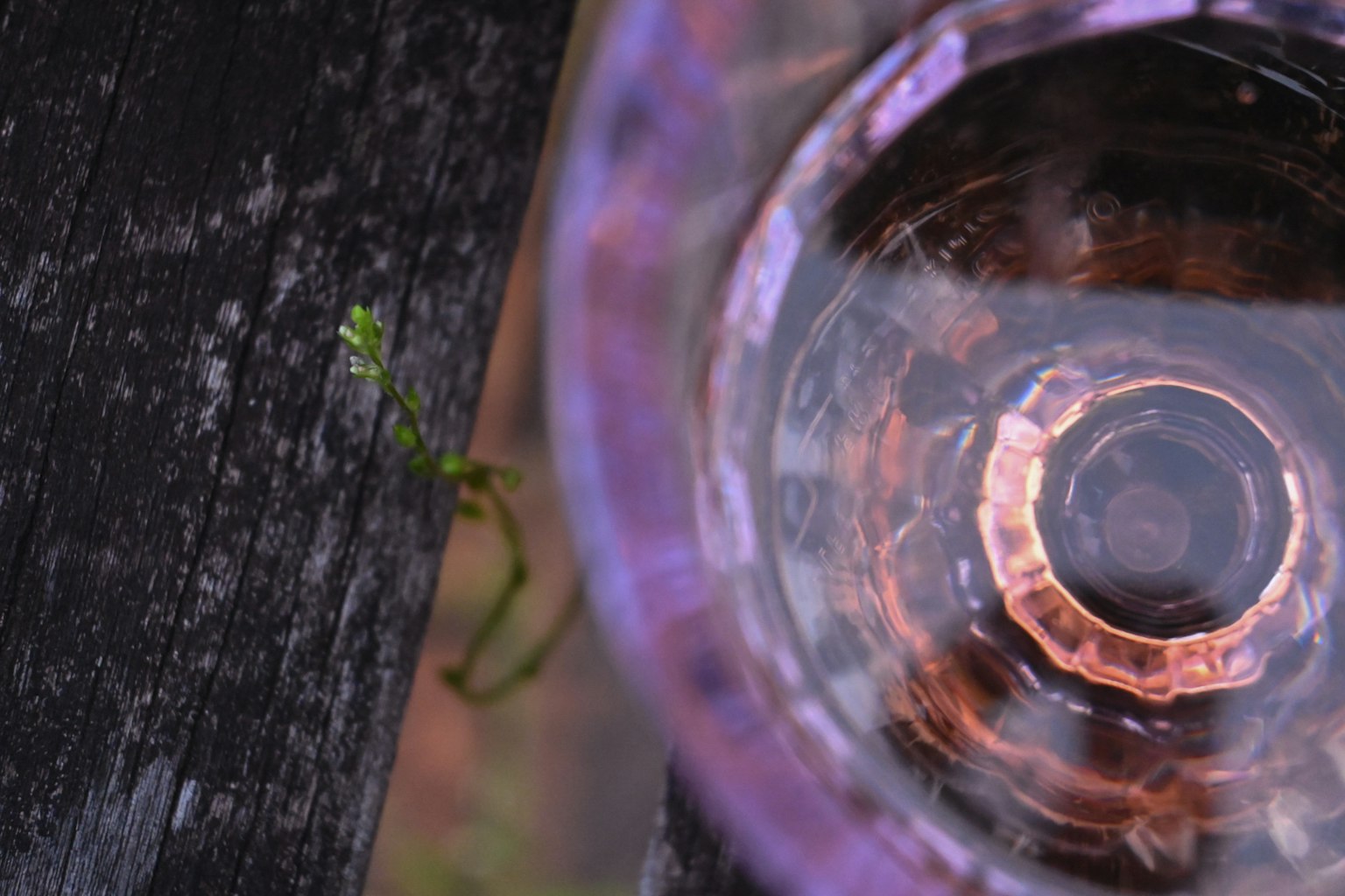 Top view of a transparent glass filled with water on a wooden table