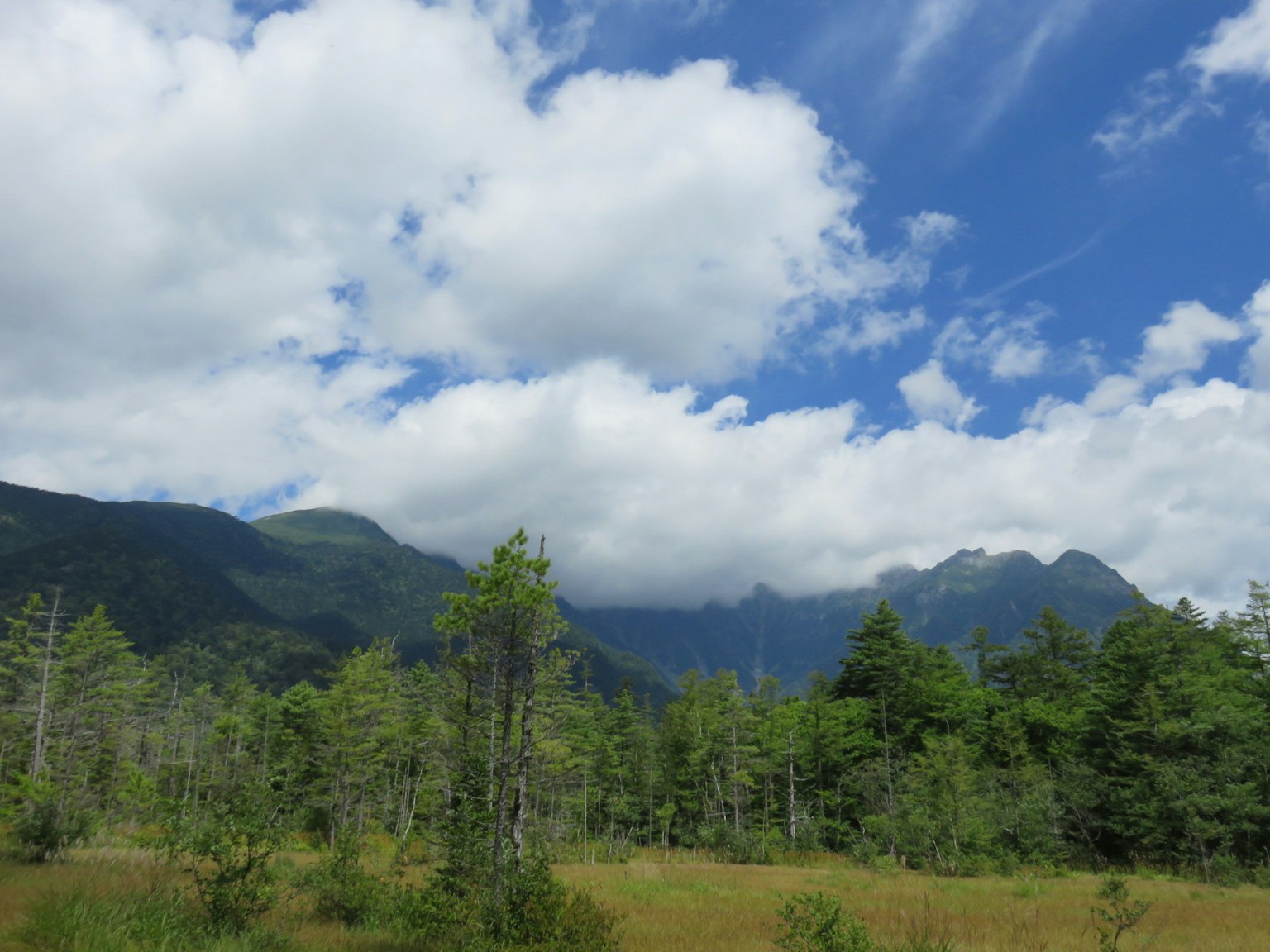 Lush green mountains under a blue sky with white clouds