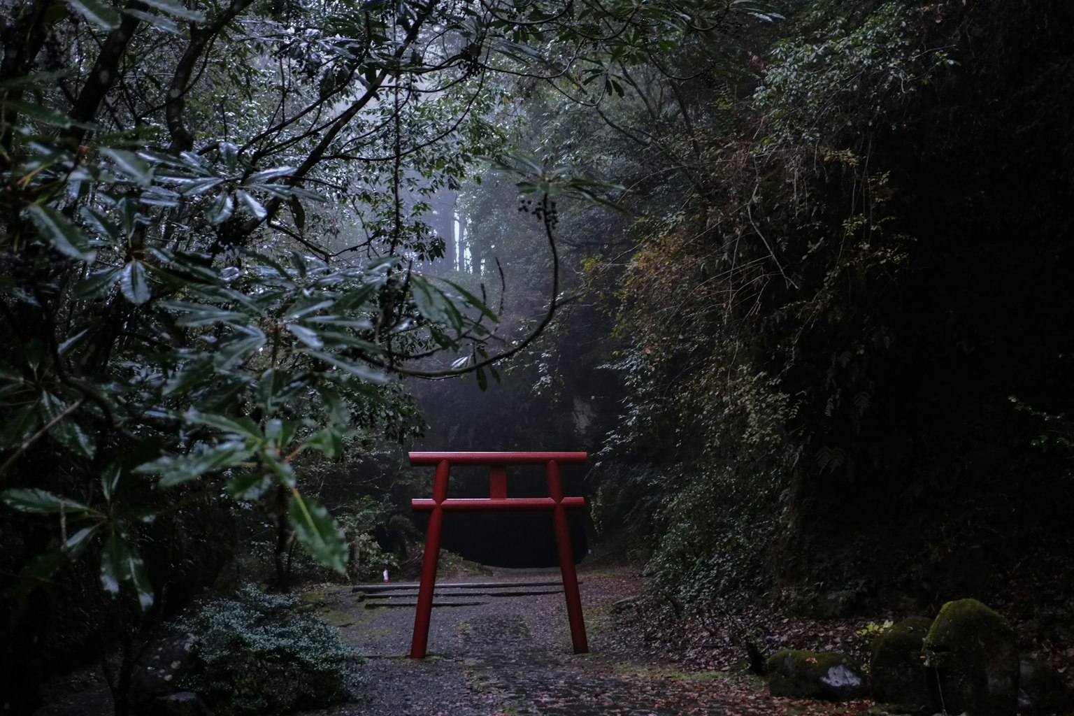 A red torii gate surrounded by lush greenery in a misty forest