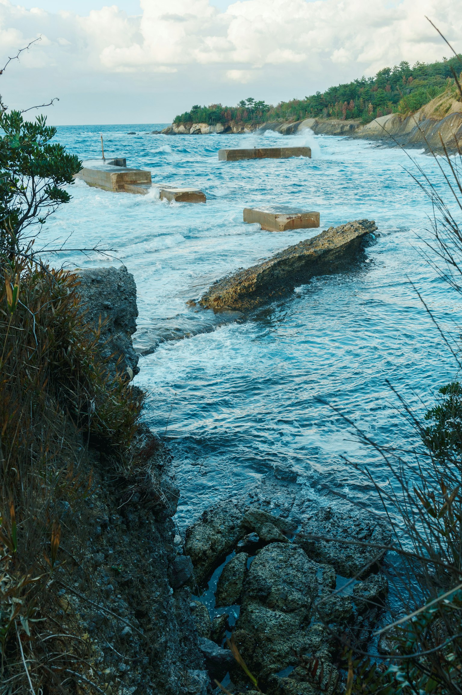 Coastal view with rocks and waves crashing