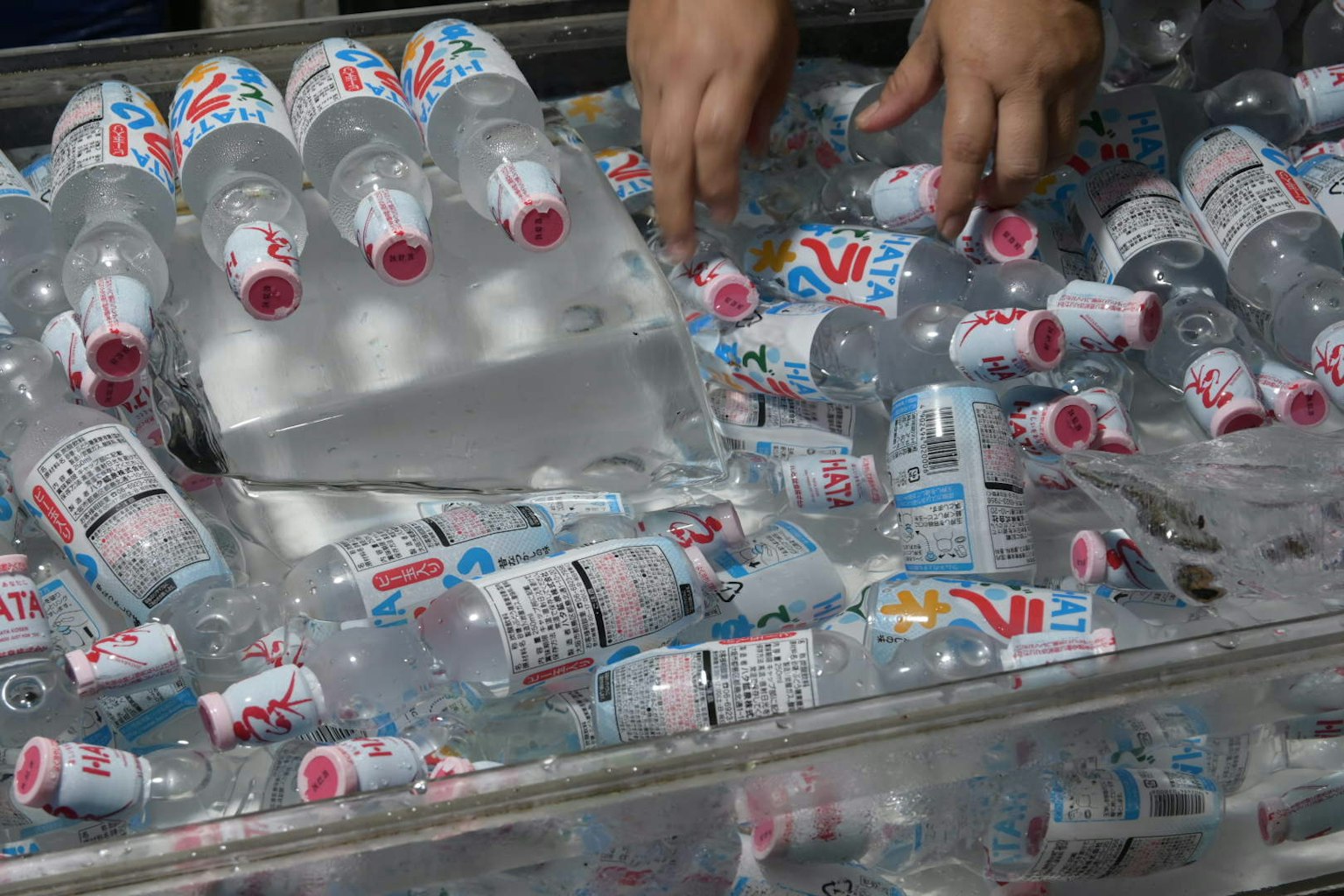 Mani che selezionano bottiglie d'acqua nel ghiaccio