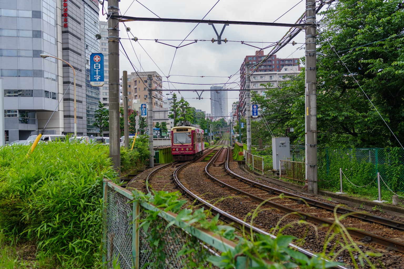 Curved railway tracks with a train surrounded by greenery
