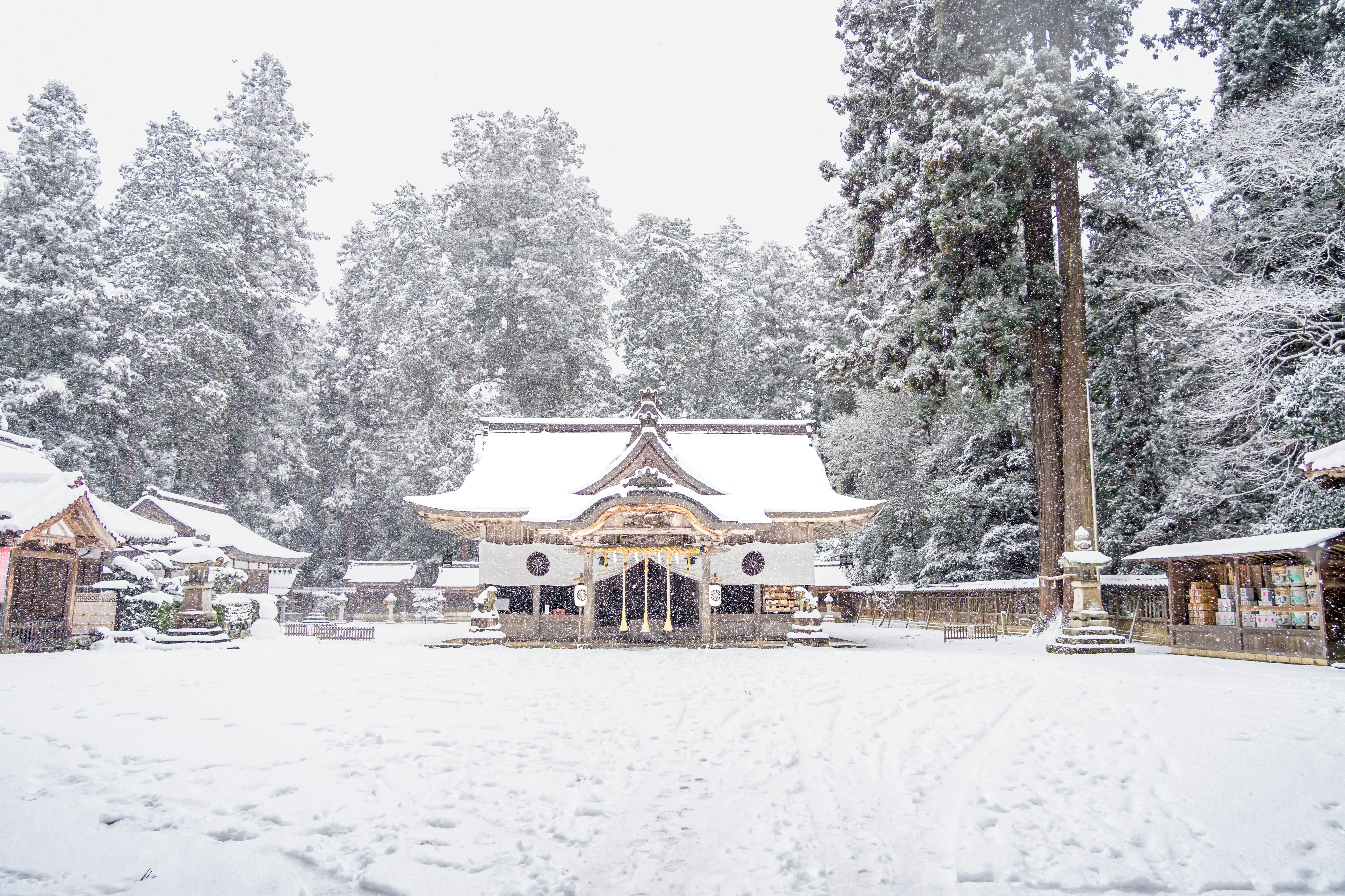 A snowy shrine grounds landscape in Kansai