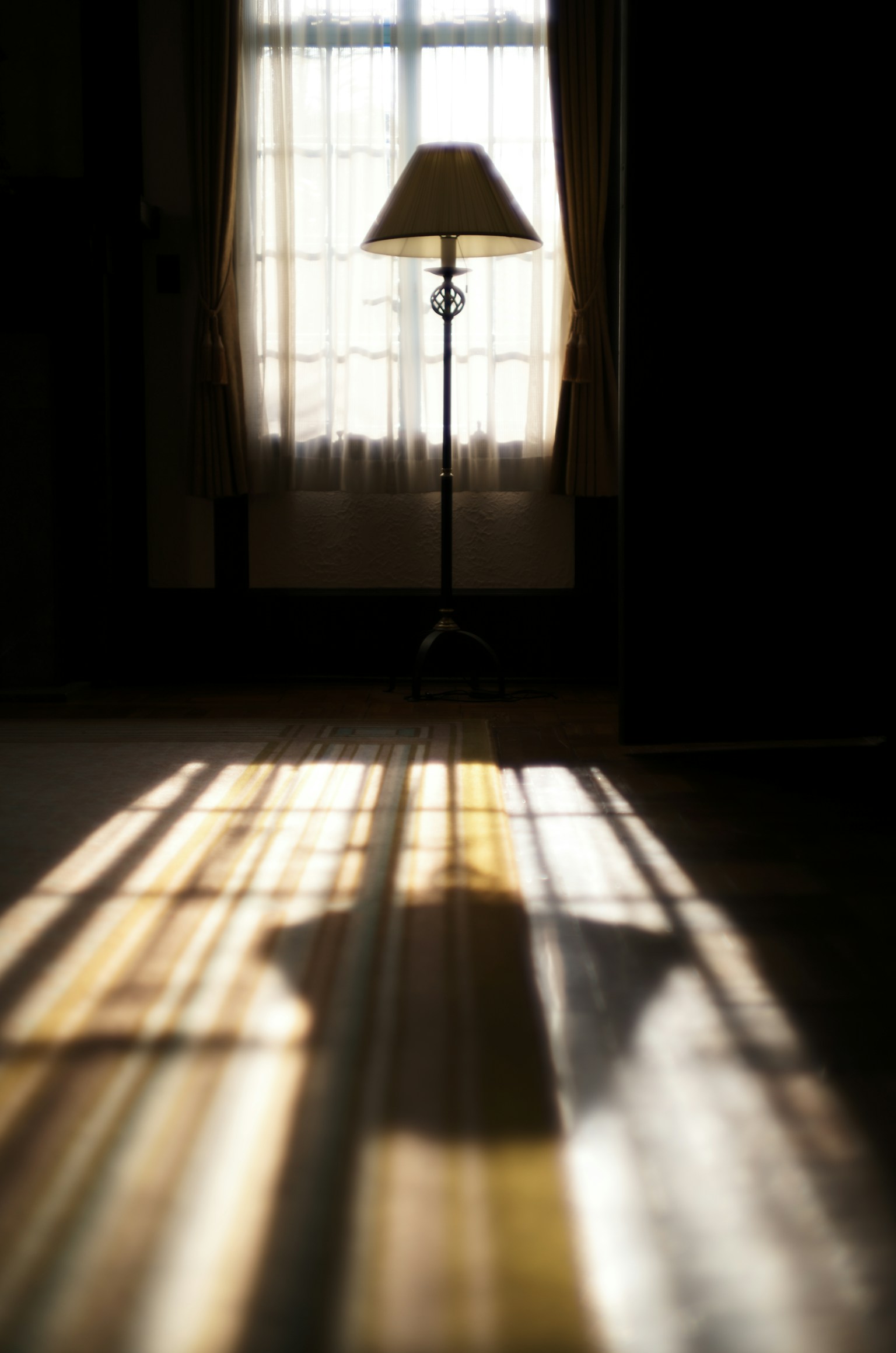 photo-9moC3QUzed1lAGXRWuh1-image