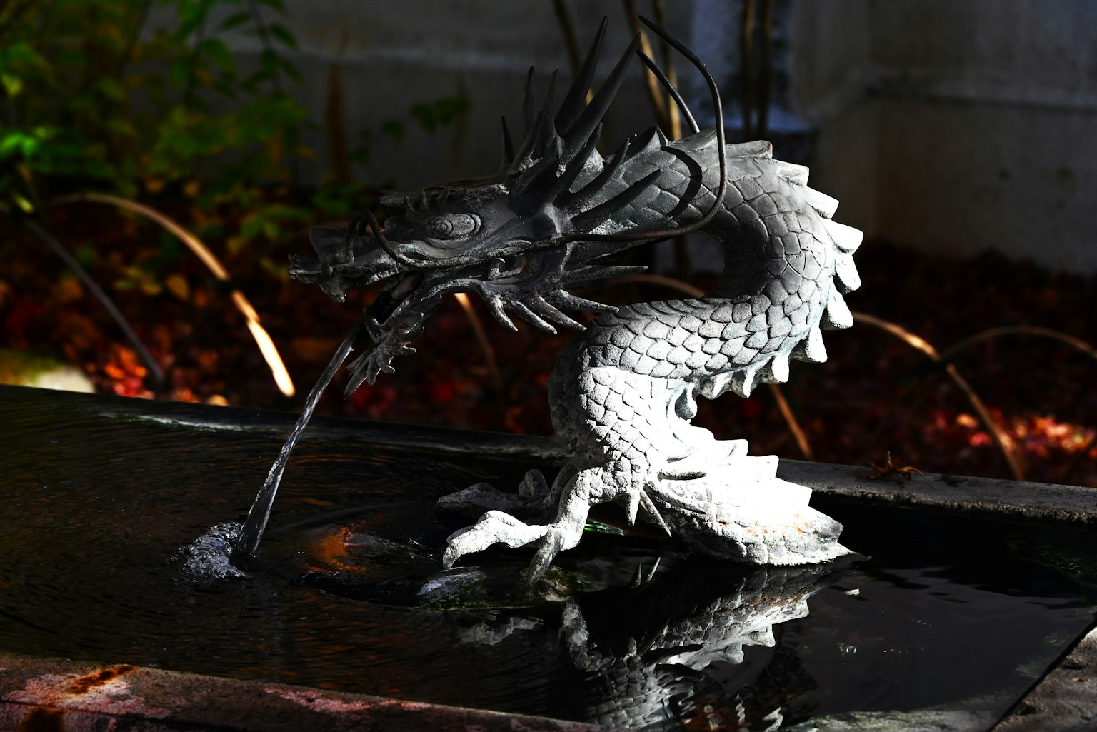 Sebuah patung naga yang mengeluarkan air di kolam yang tenang