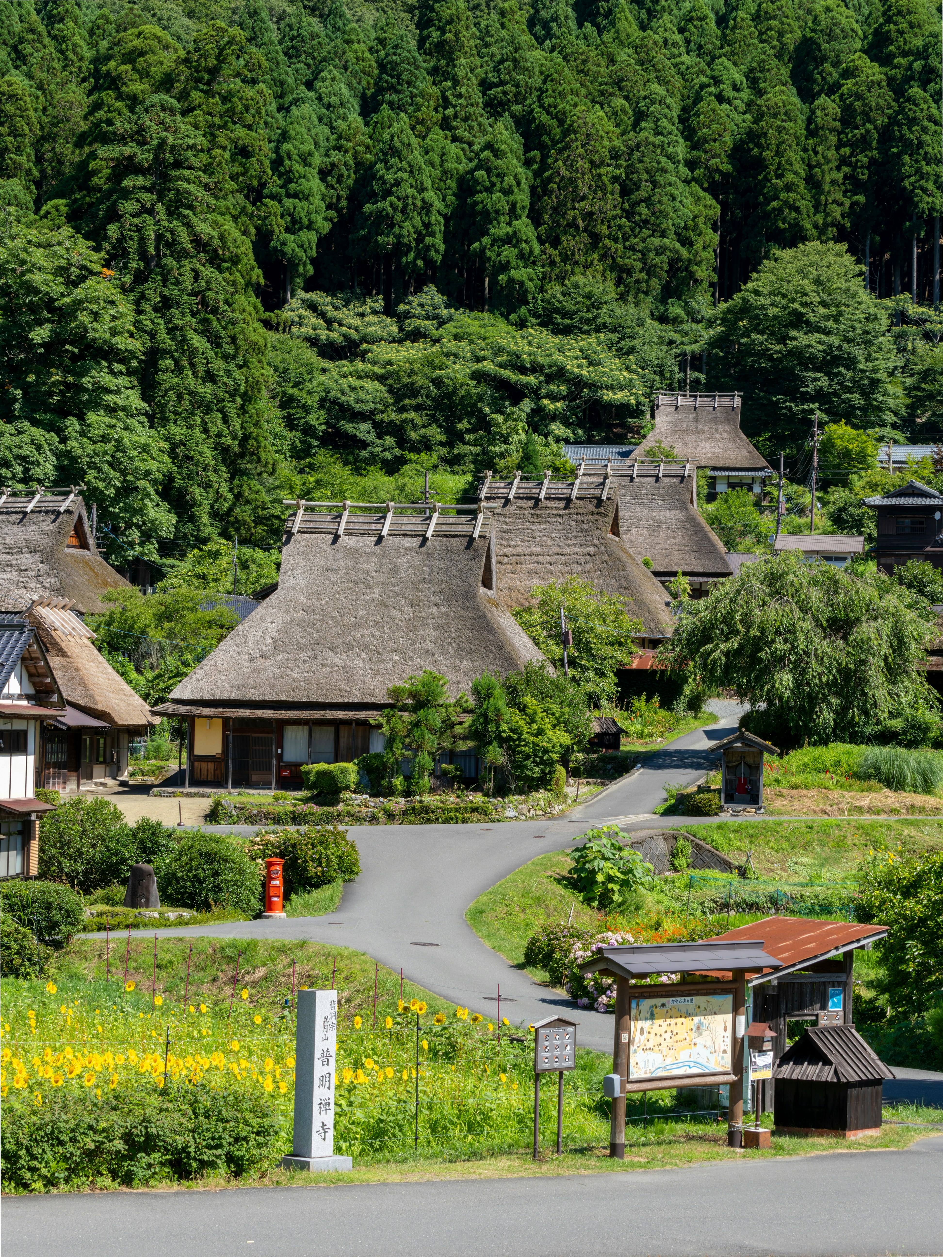 夏の美山かやぶきの里の茅葺き集落と小道