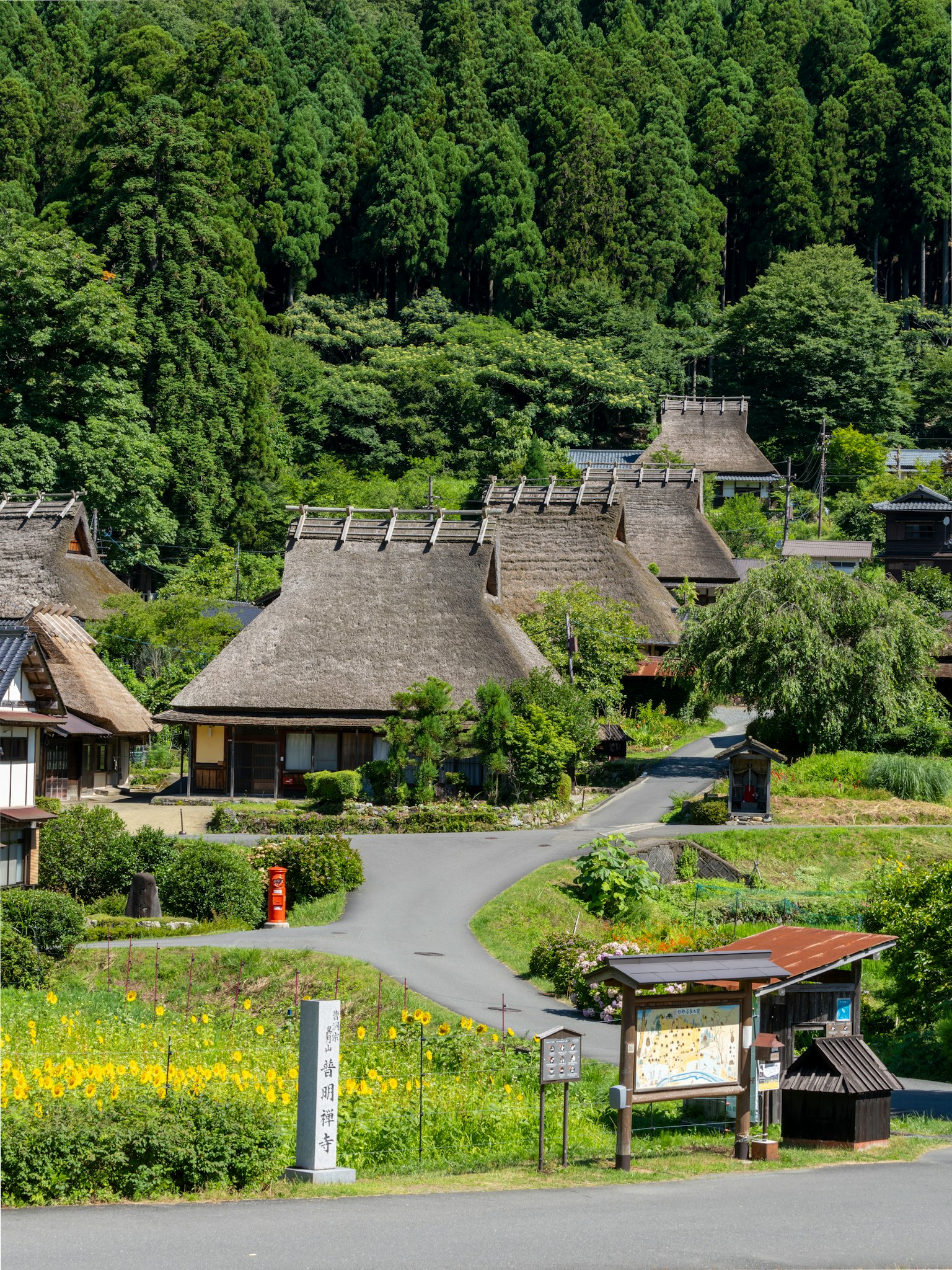 緑豊かな山々に囲まれた伝統的な日本の集落の風景 古い茅葺き屋根の家々と花畑が広がる