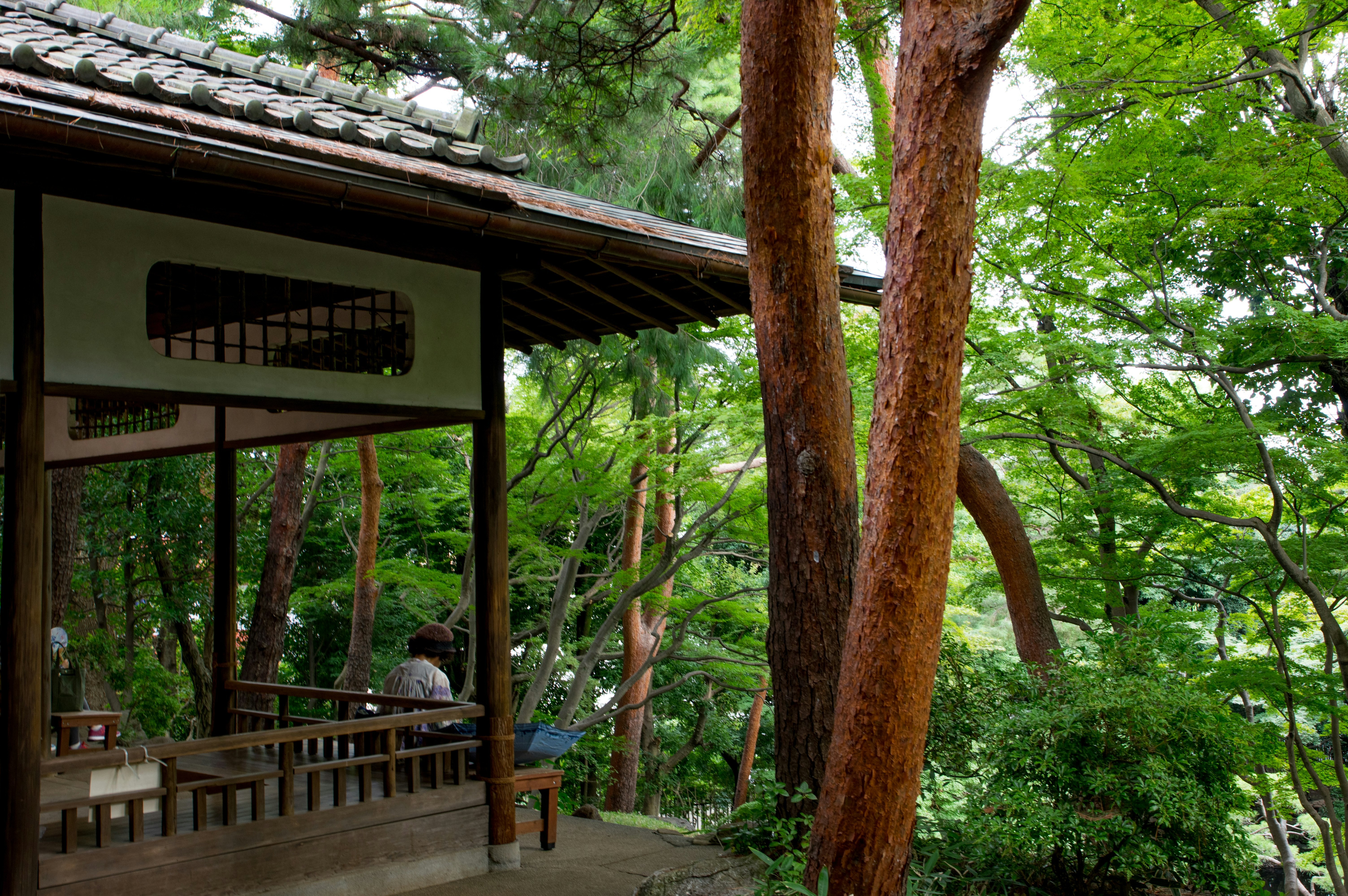 Traditional Japanese building in a serene forest with lush green trees