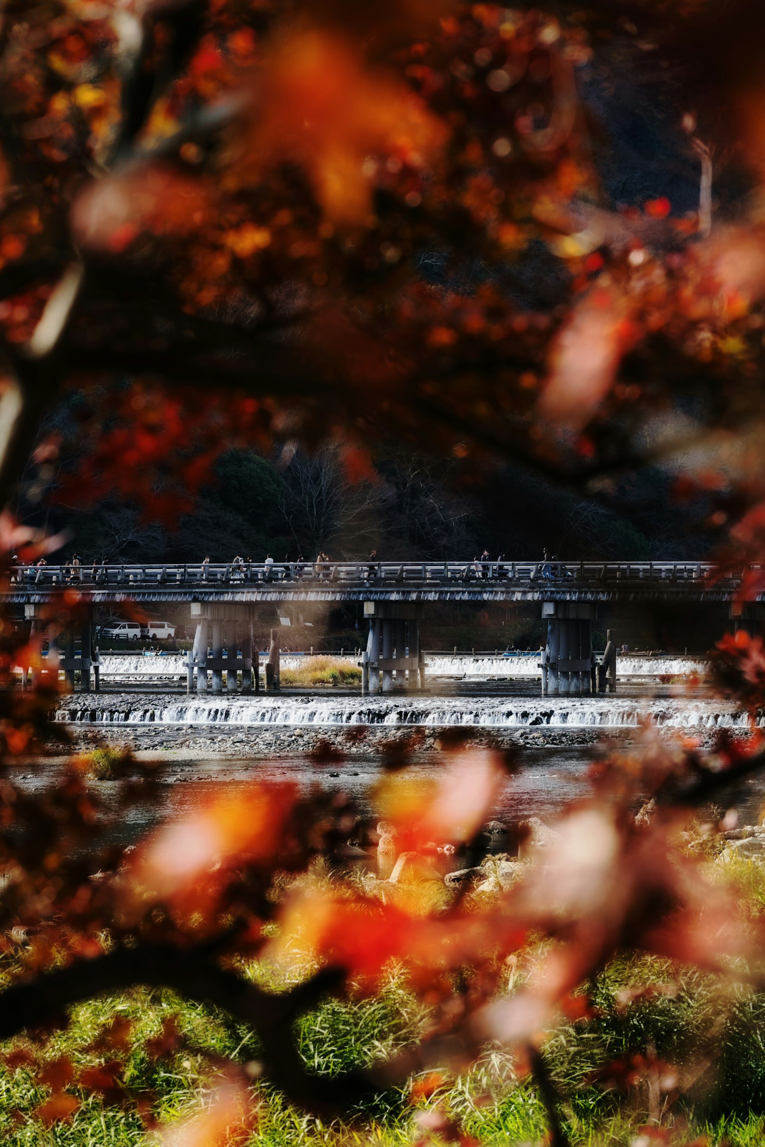 紅葉に囲まれた美しい建物の風景