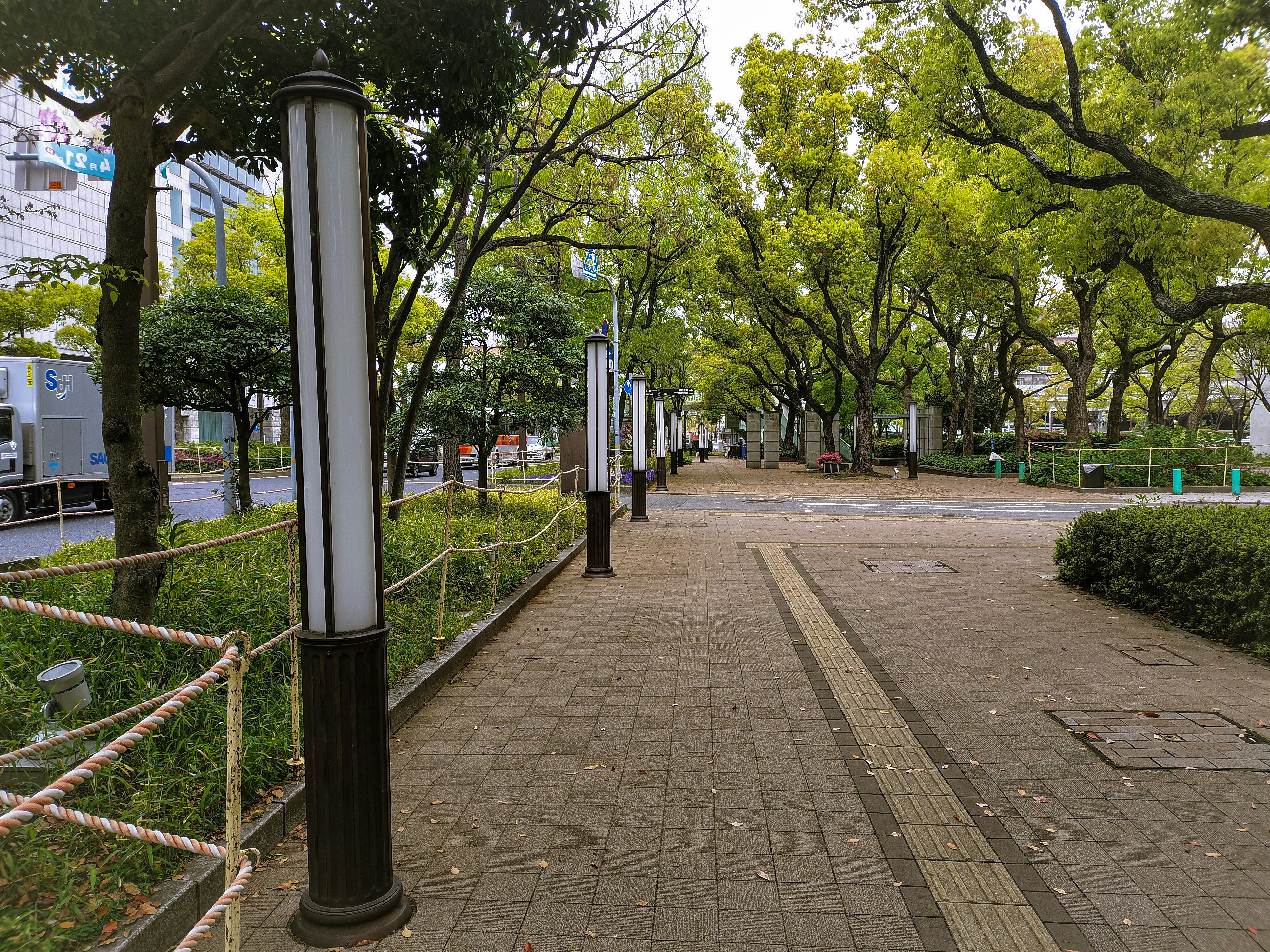 通勤途中の並木道の歩道