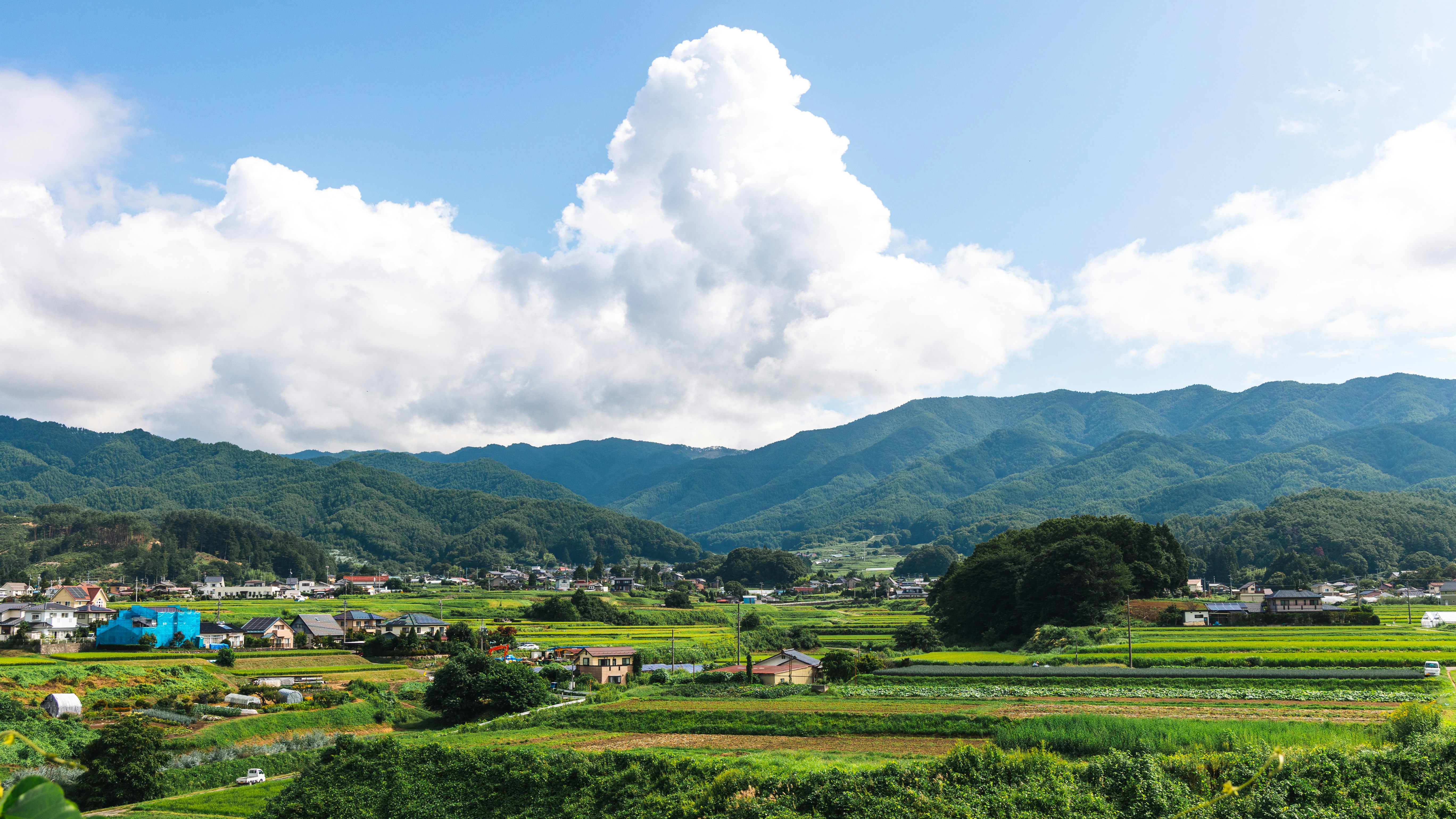 緑の田園と山並みが広がる風景
