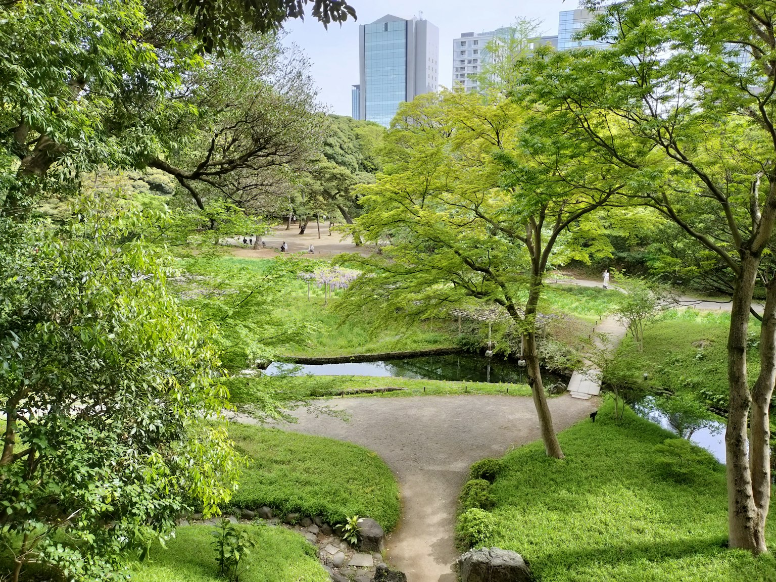 ทิวทัศน์สวนที่เขียวชอุ่มพร้อมตึกระฟ้าในพื้นหลัง