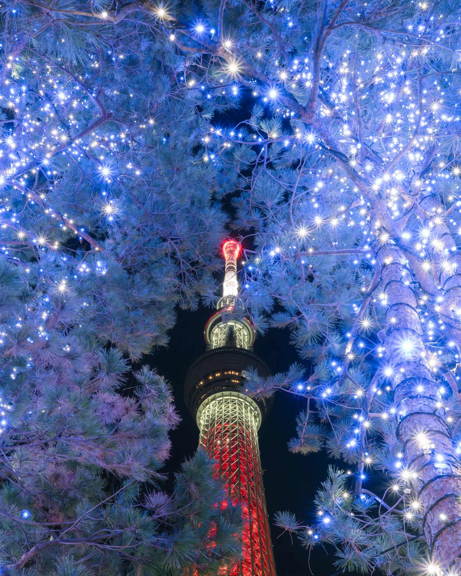 Tokyo Skytree được chiếu sáng vào ban đêm bao quanh bởi ánh sáng xanh