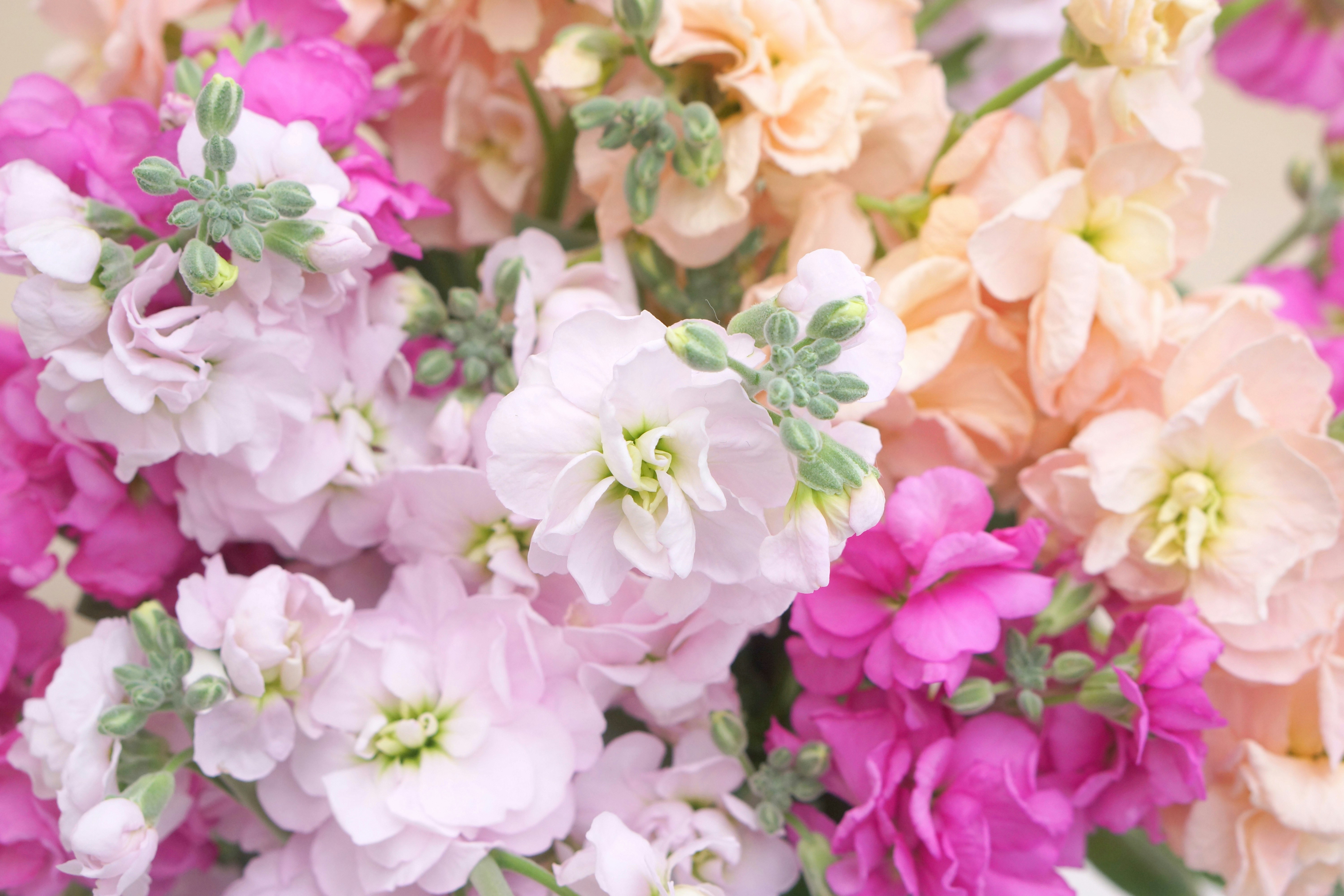 色とりどりの花束のクローズアップ