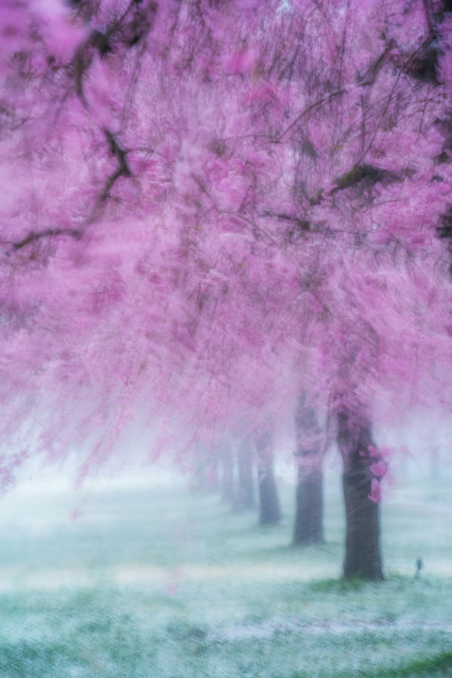 photo-9t4CwYAA9jX0fmJ1jB2H-image