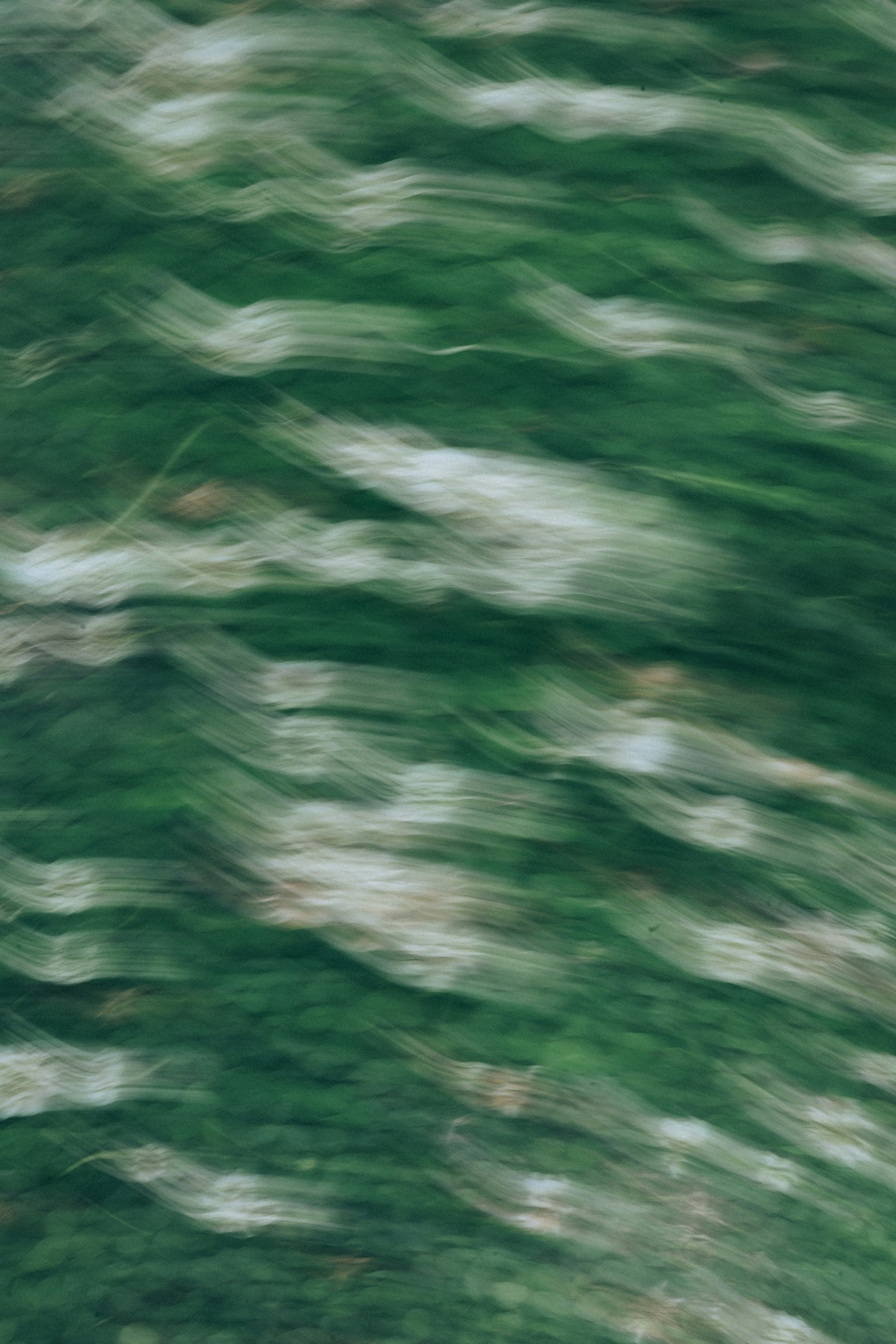 Verschwommene Bild mit grünem Hintergrund und weißen Mustern
