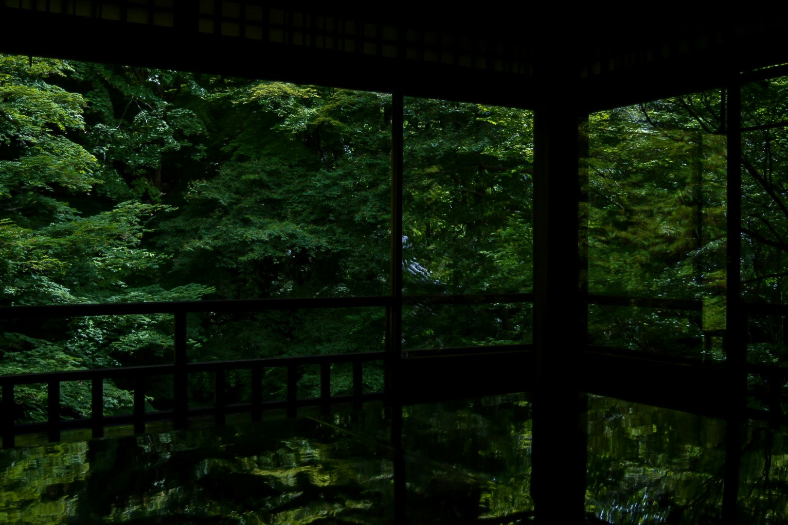 View of the garden with blue-green autumn leaves at Rurikō-in