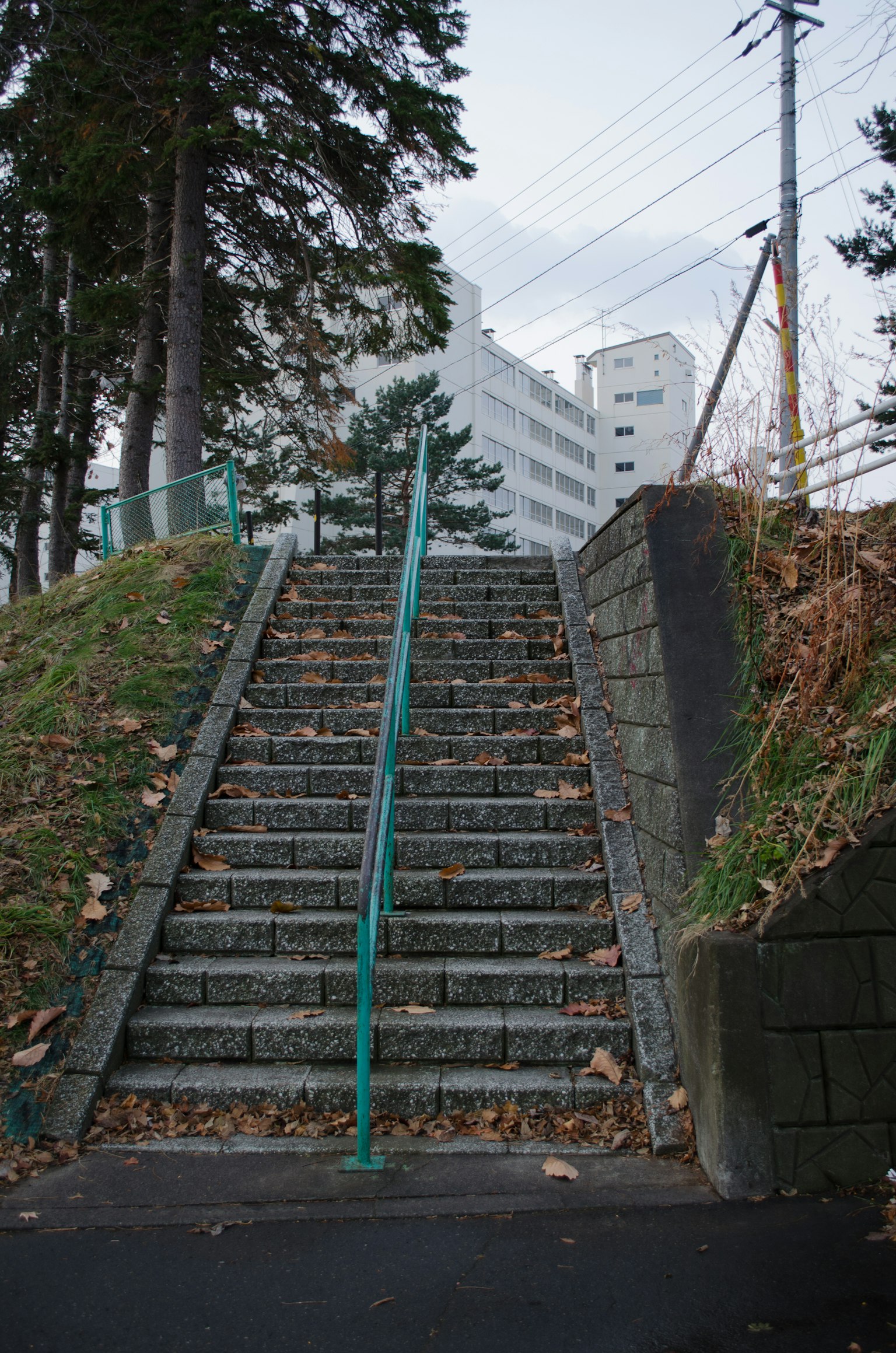 Escaleras con hojas esparcidas y árboles alrededor