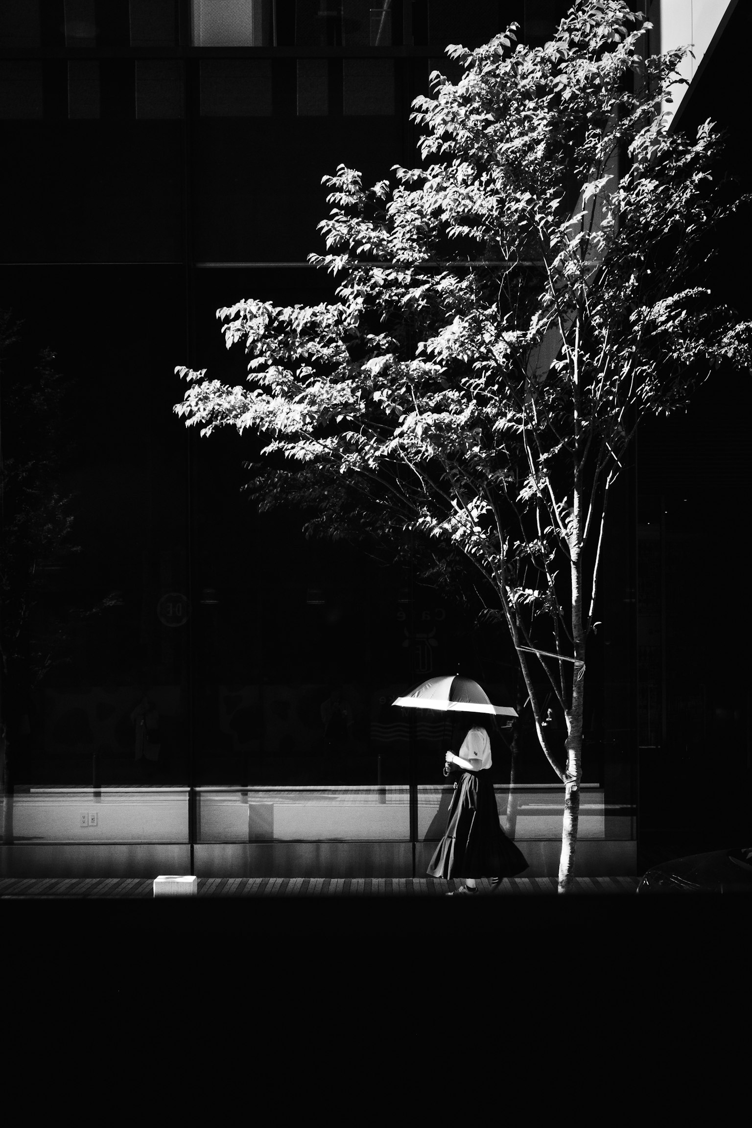 Una mujer caminando con un paraguas al lado de un árbol en un entorno urbano en blanco y negro