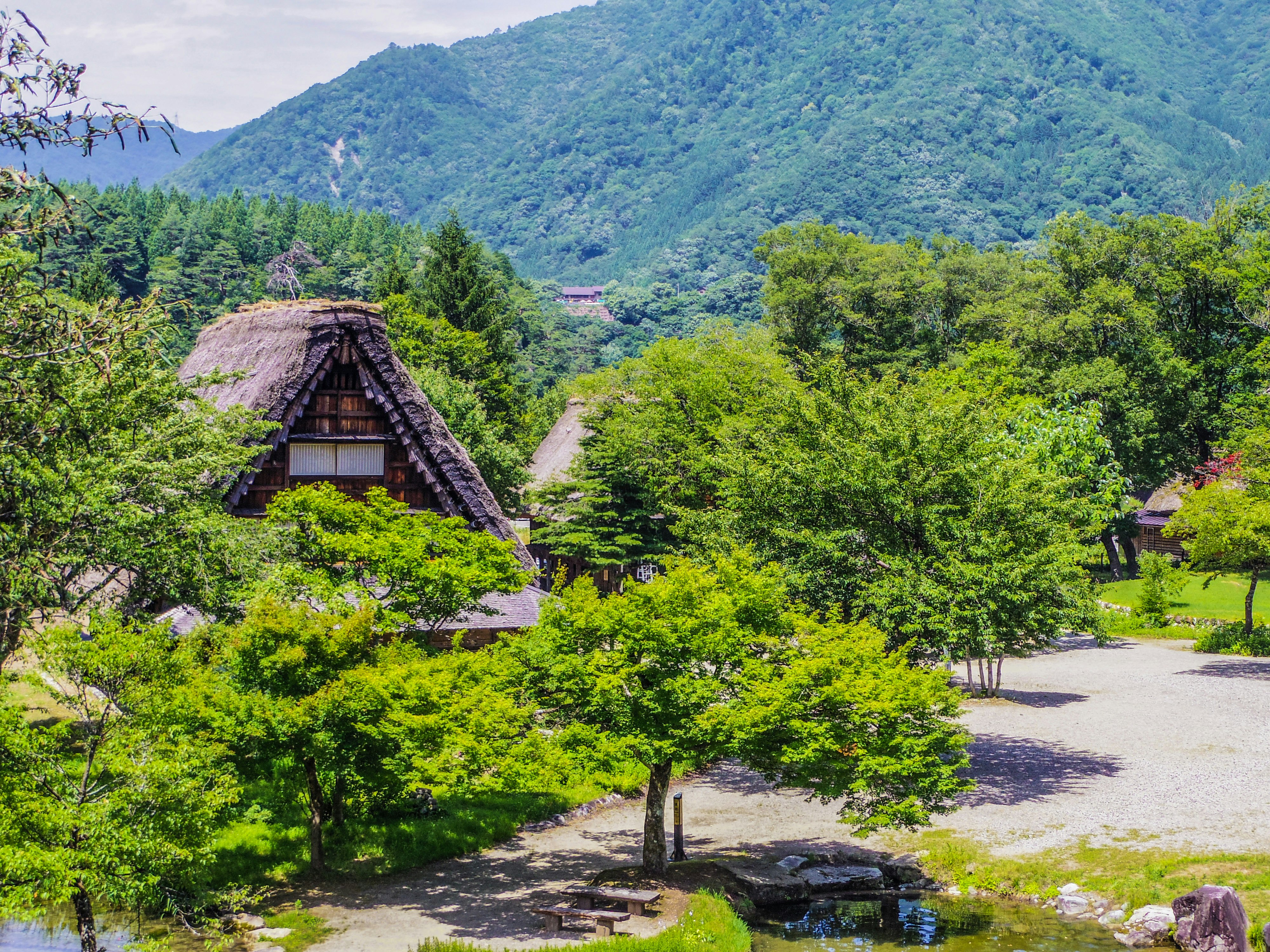 繁茂庭院與茅草屋頂的傳統民居，山村景色