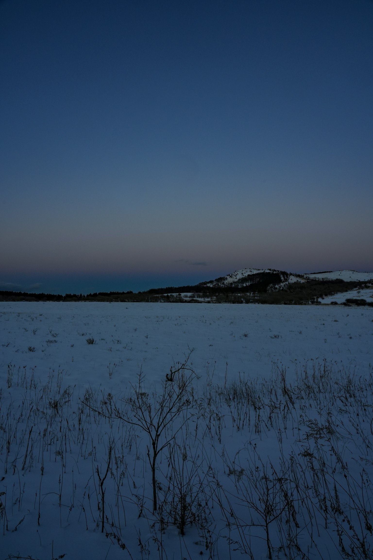 Pianura coperta di neve con cielo al crepuscolo