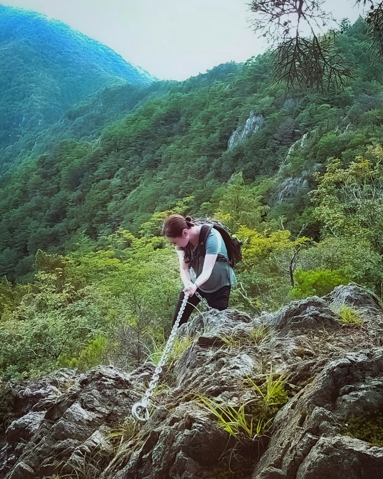 Person climbing a rocky mountain surrounded by lush greenery