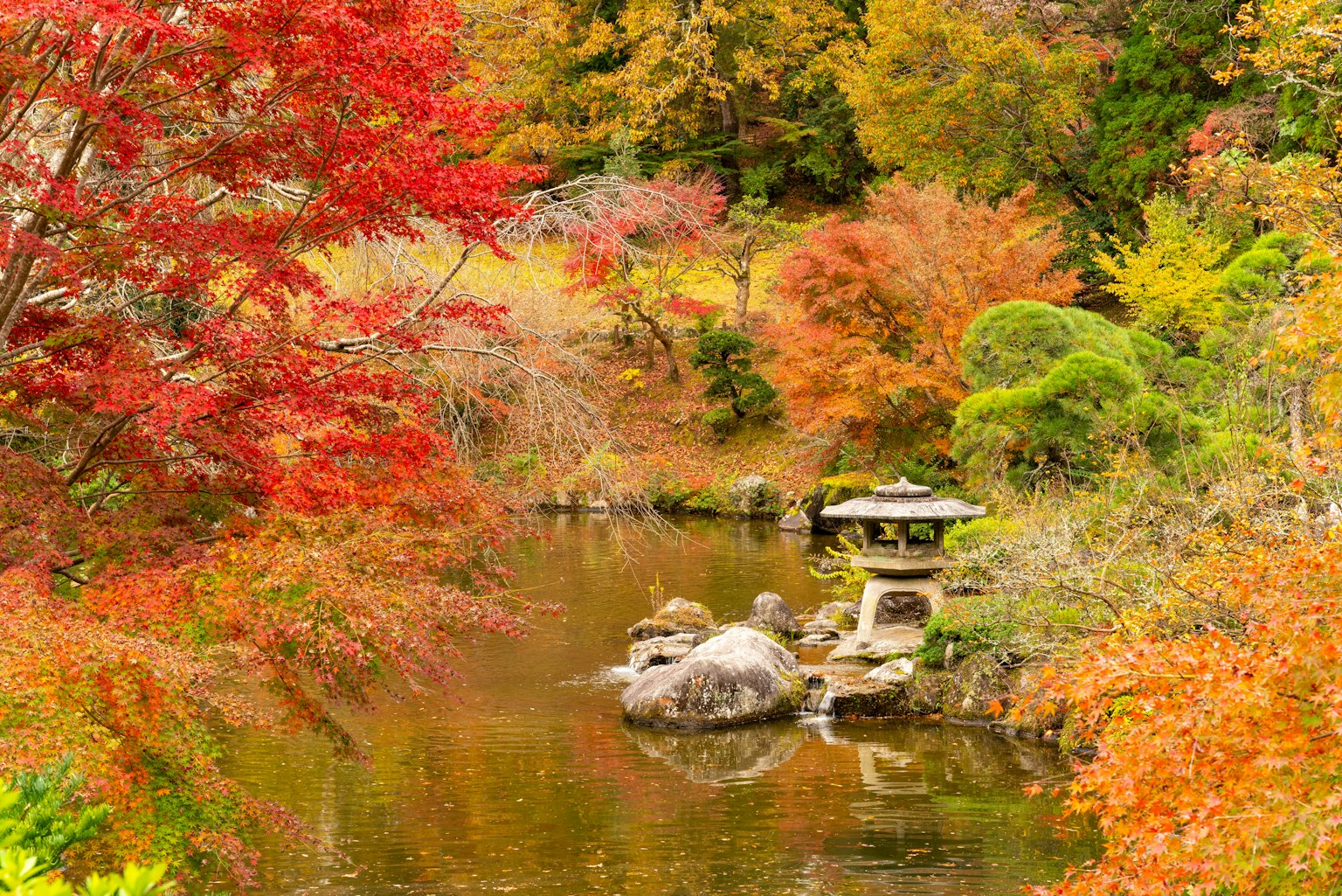 Schöne Herbstlandschaft mit buntem Laub, das sich im Teich spiegelt